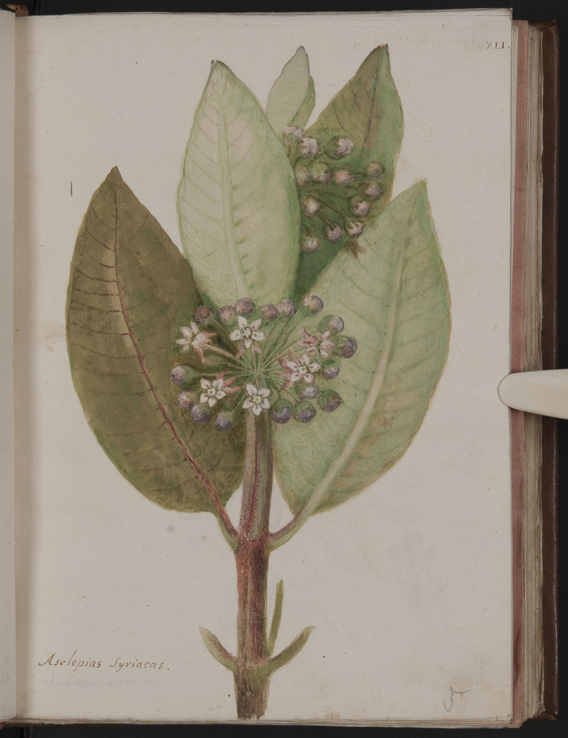 no full size  illustration available (3a)