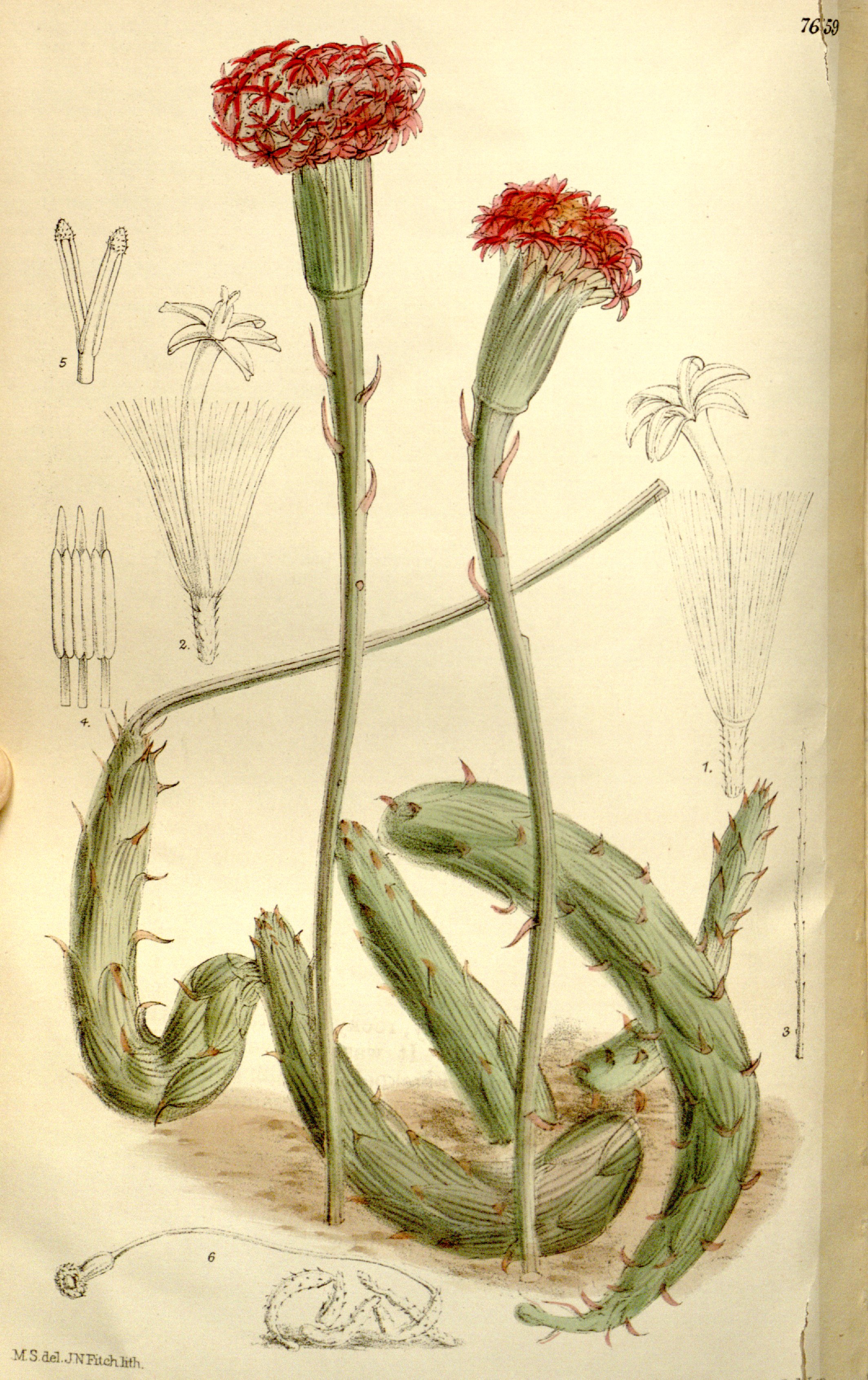 no full size  illustration available (3a)