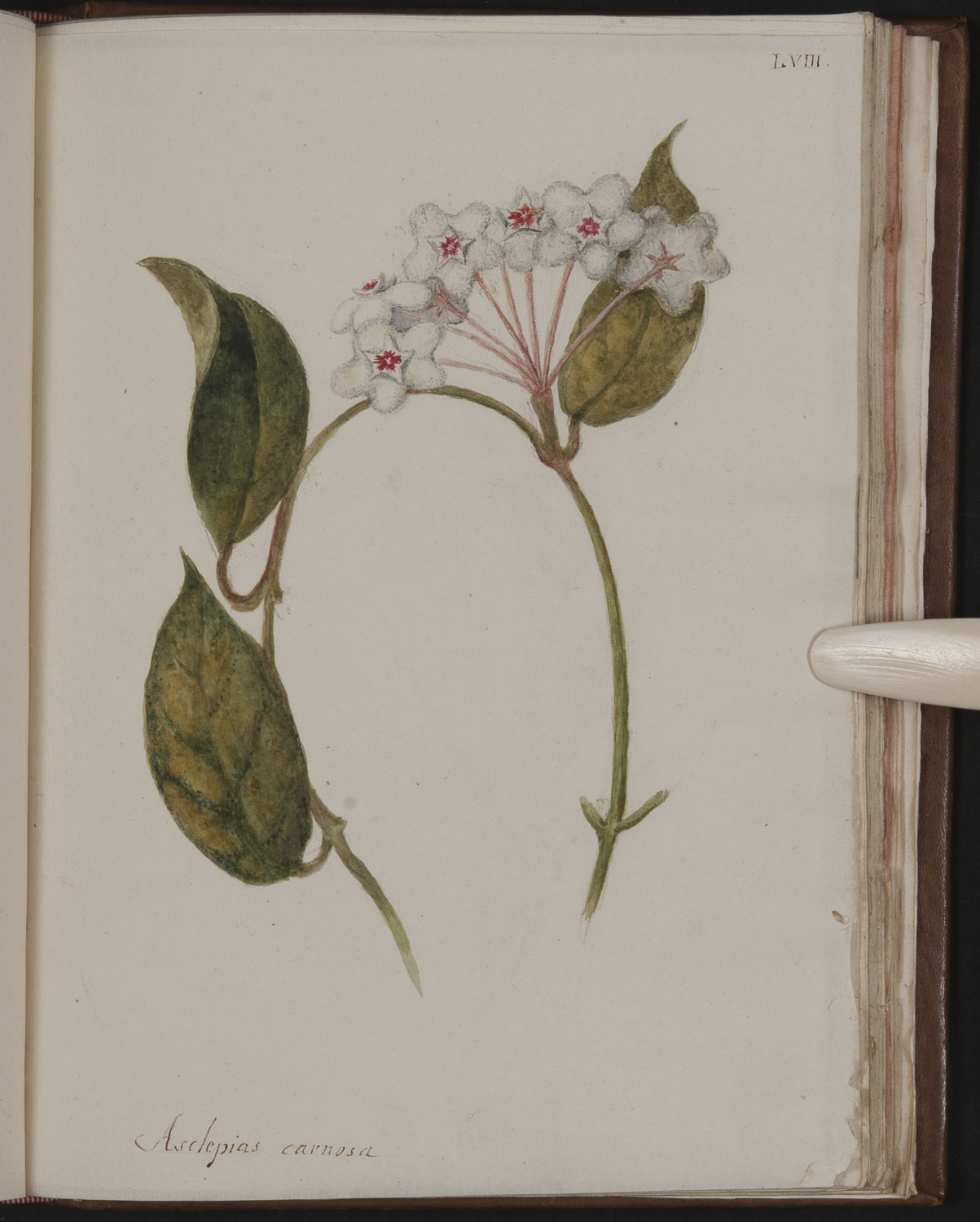 no full size  illustration available (3a)