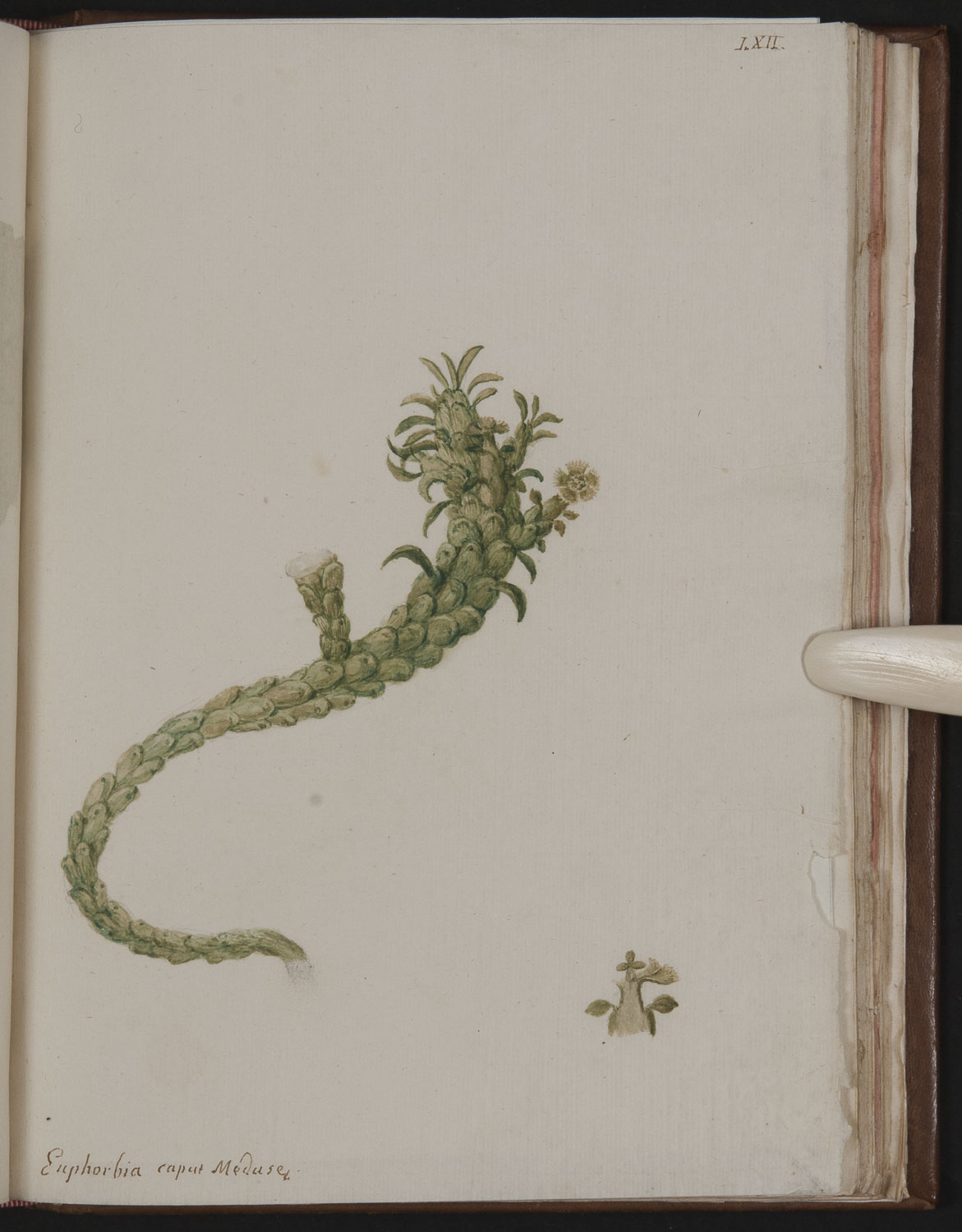 no full size  illustration available (3a)