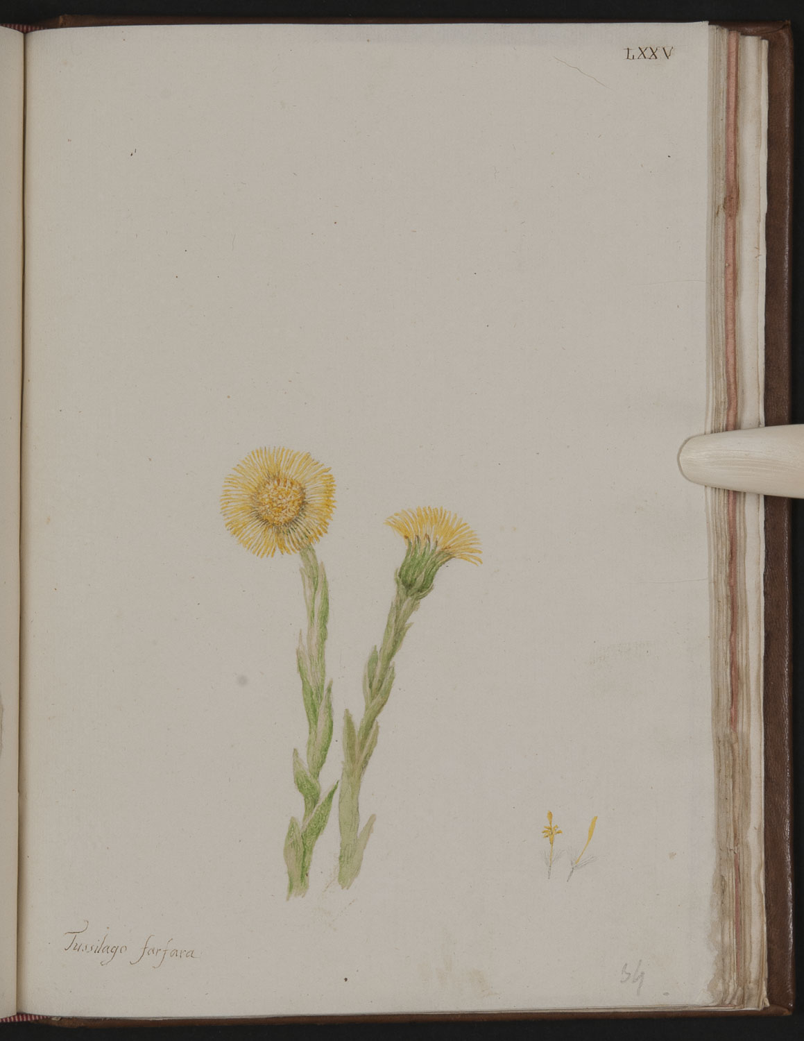 no full size  illustration available (3a)