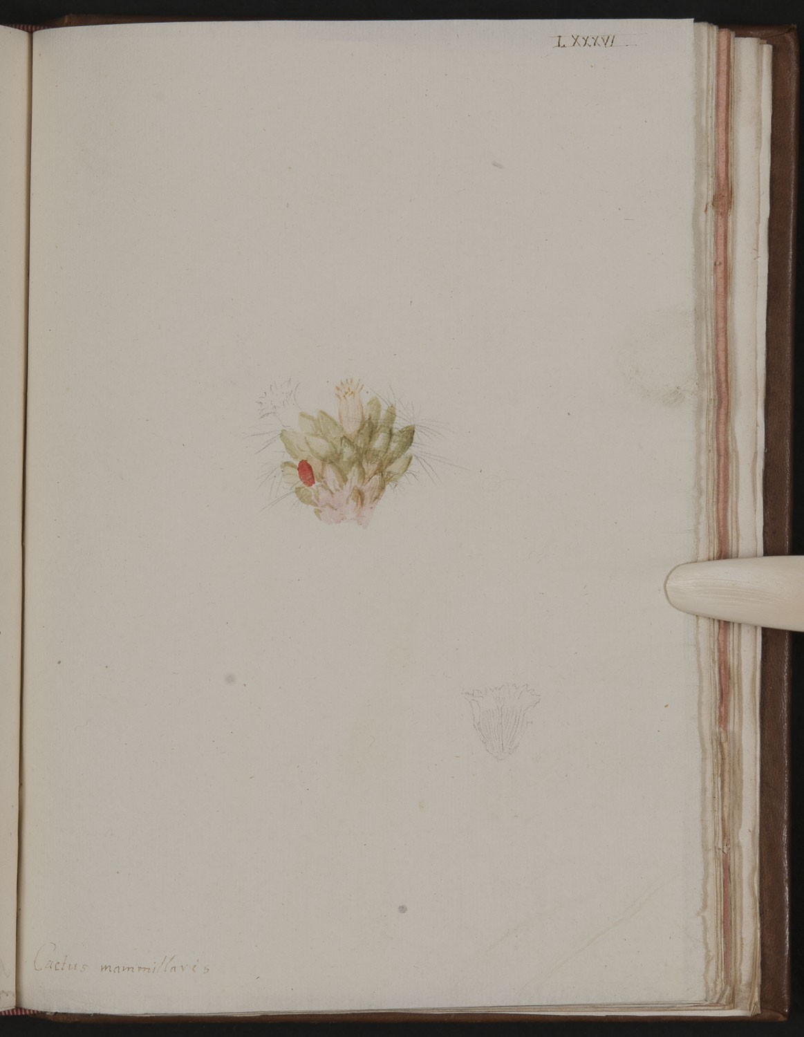 no full size  illustration available (3a)