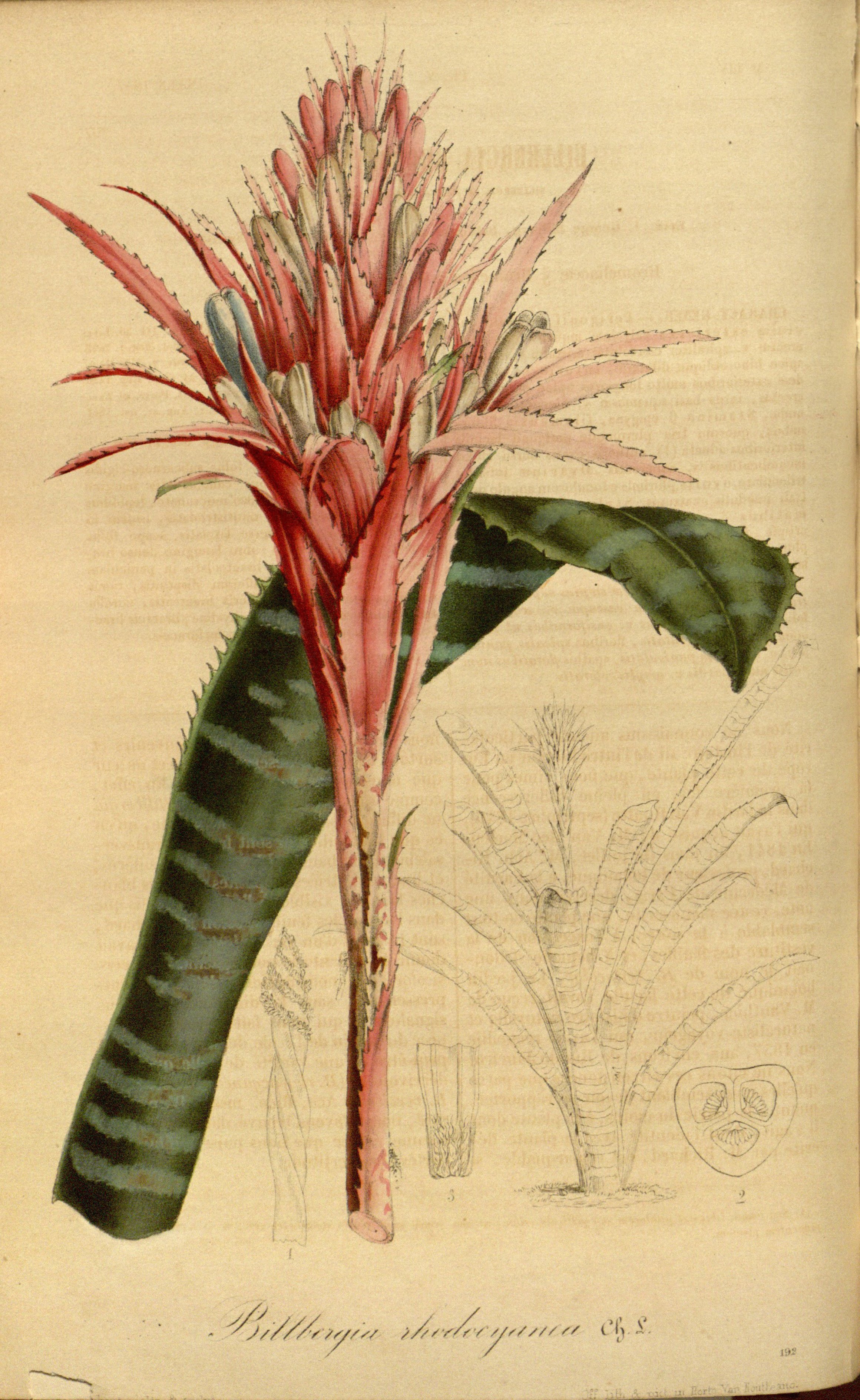 no full size  illustration available (3a)