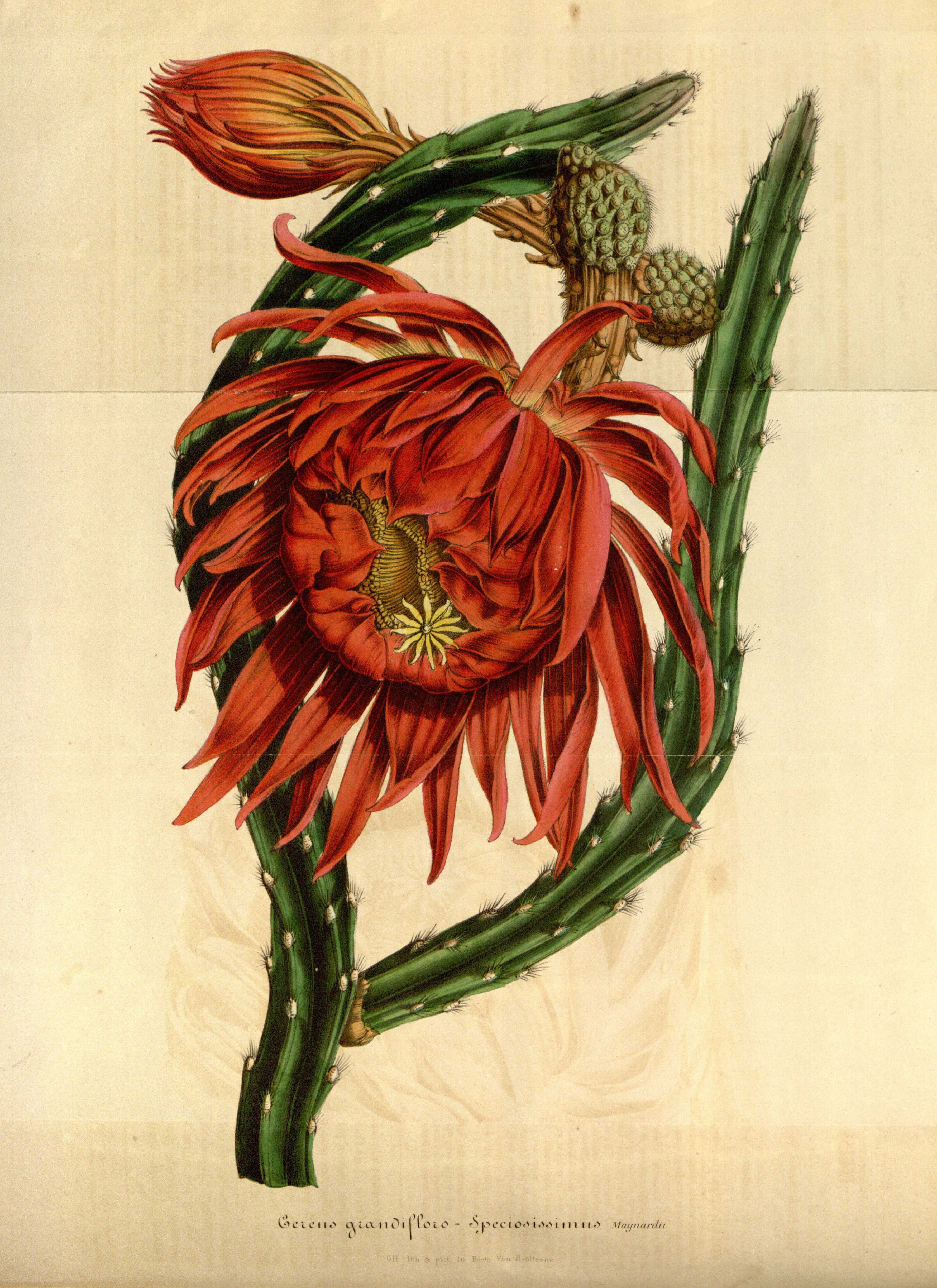 no full size  illustration available (3a)