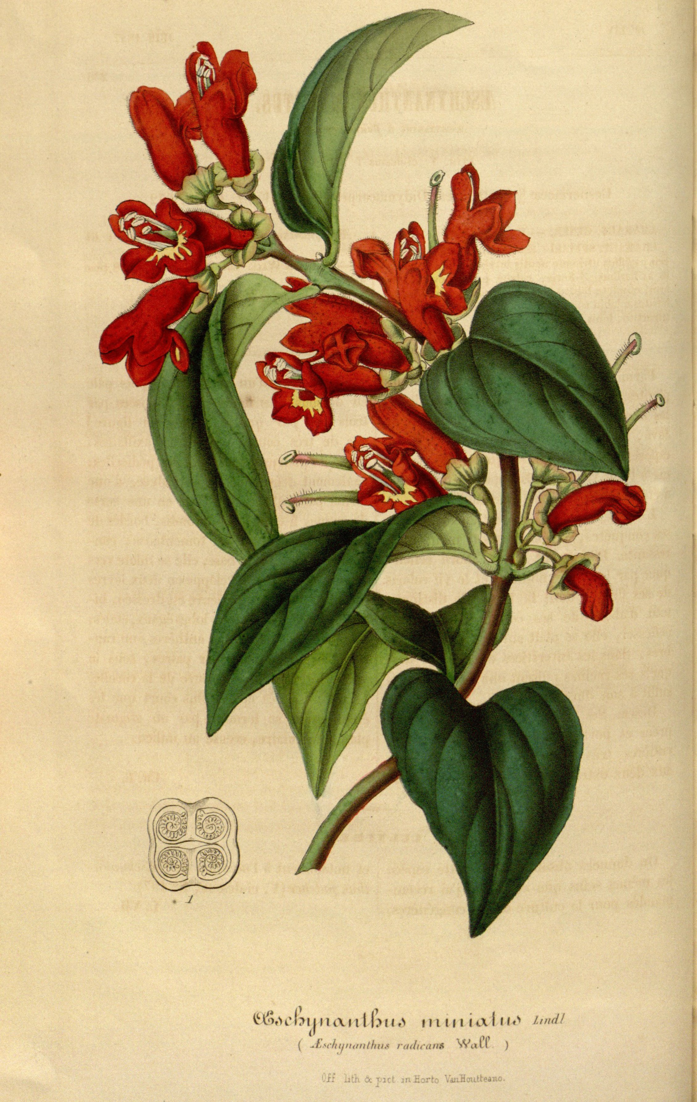 no full size  illustration available (3a)