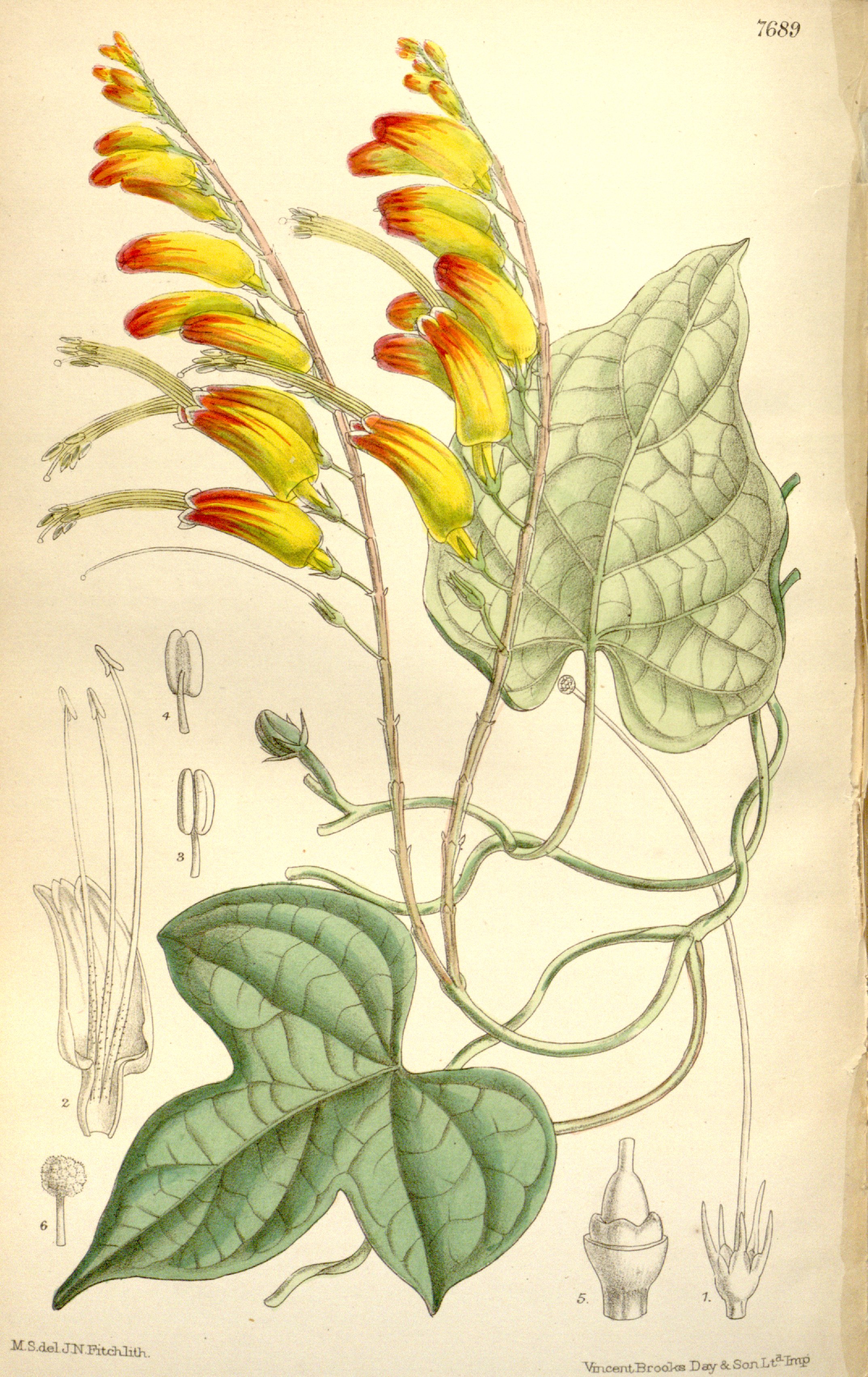 no full size  illustration available (3a)