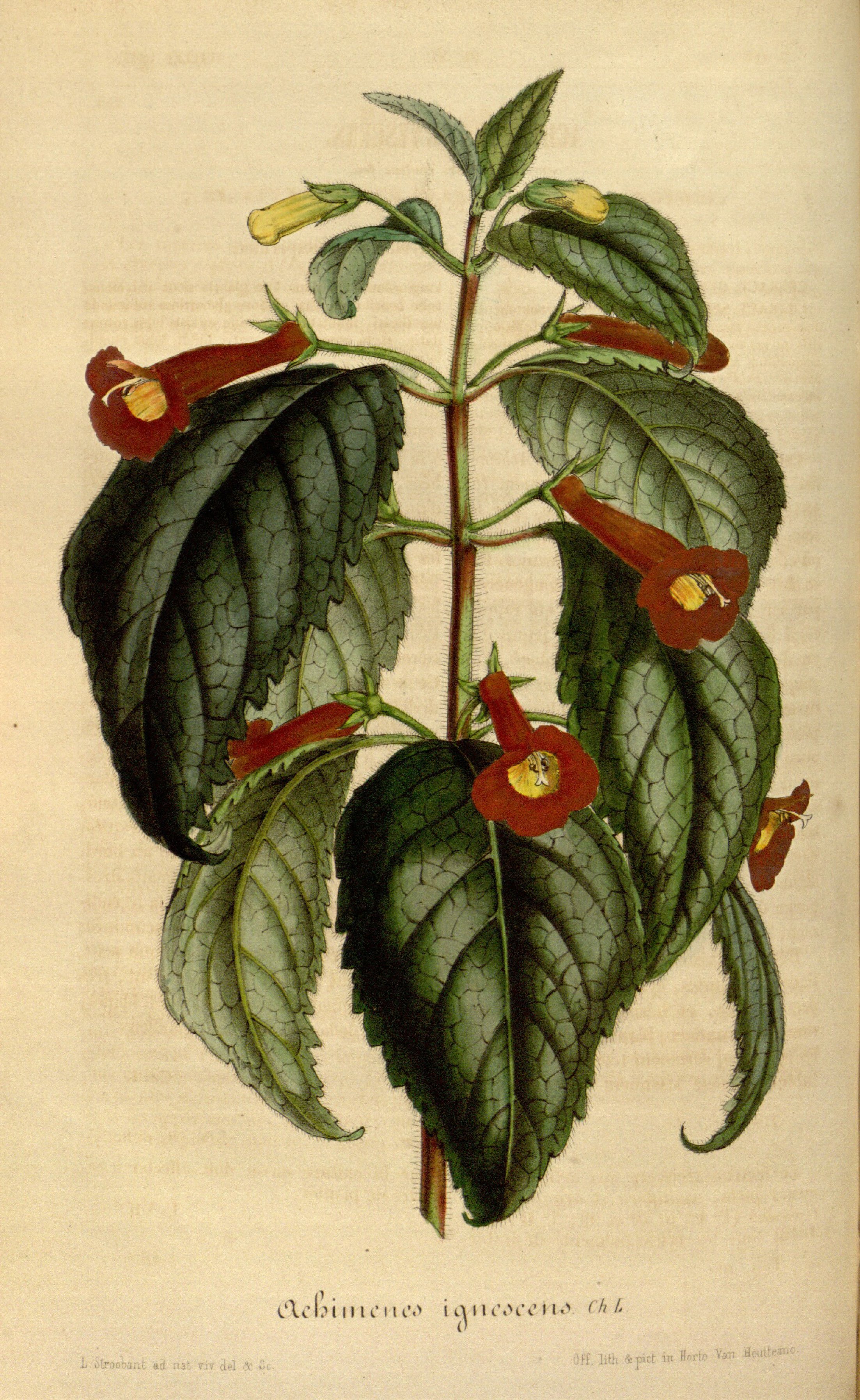 no full size  illustration available (3a)