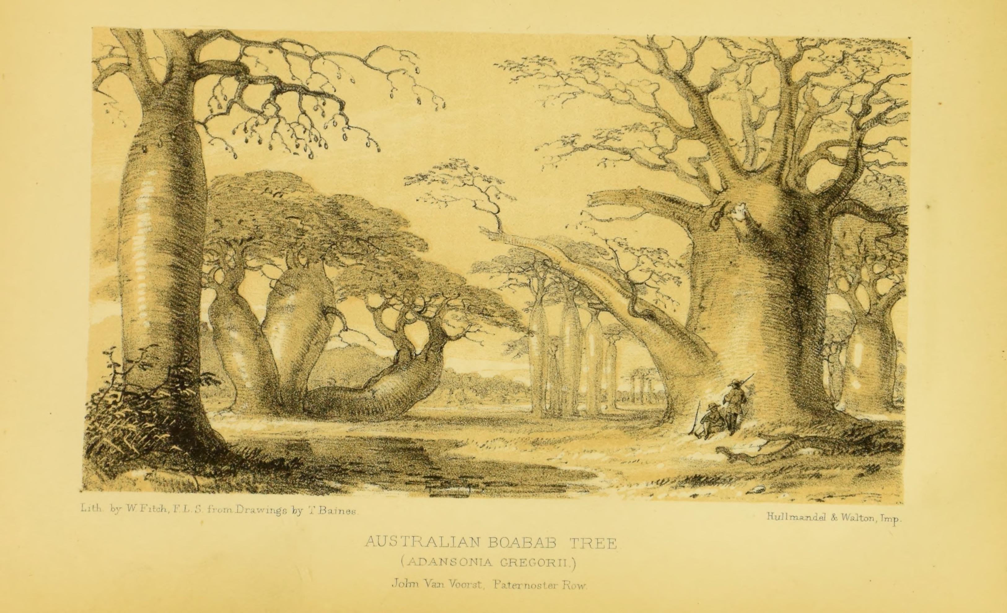 no full size  illustration available (3a)