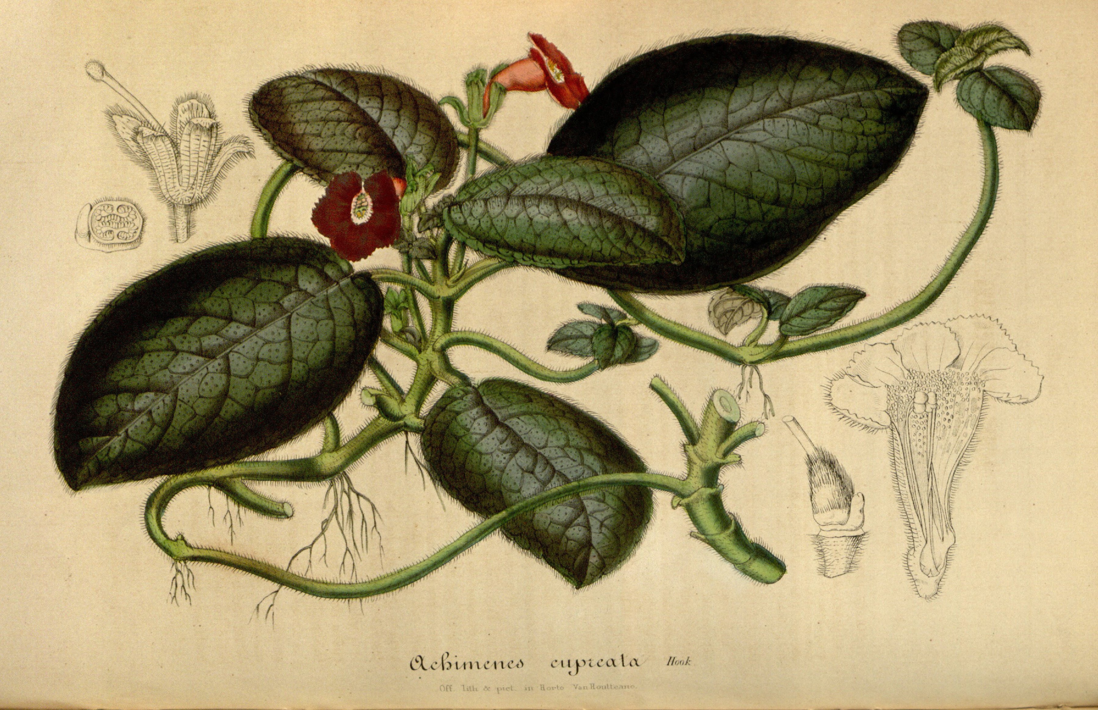 no full size  illustration available (3a)