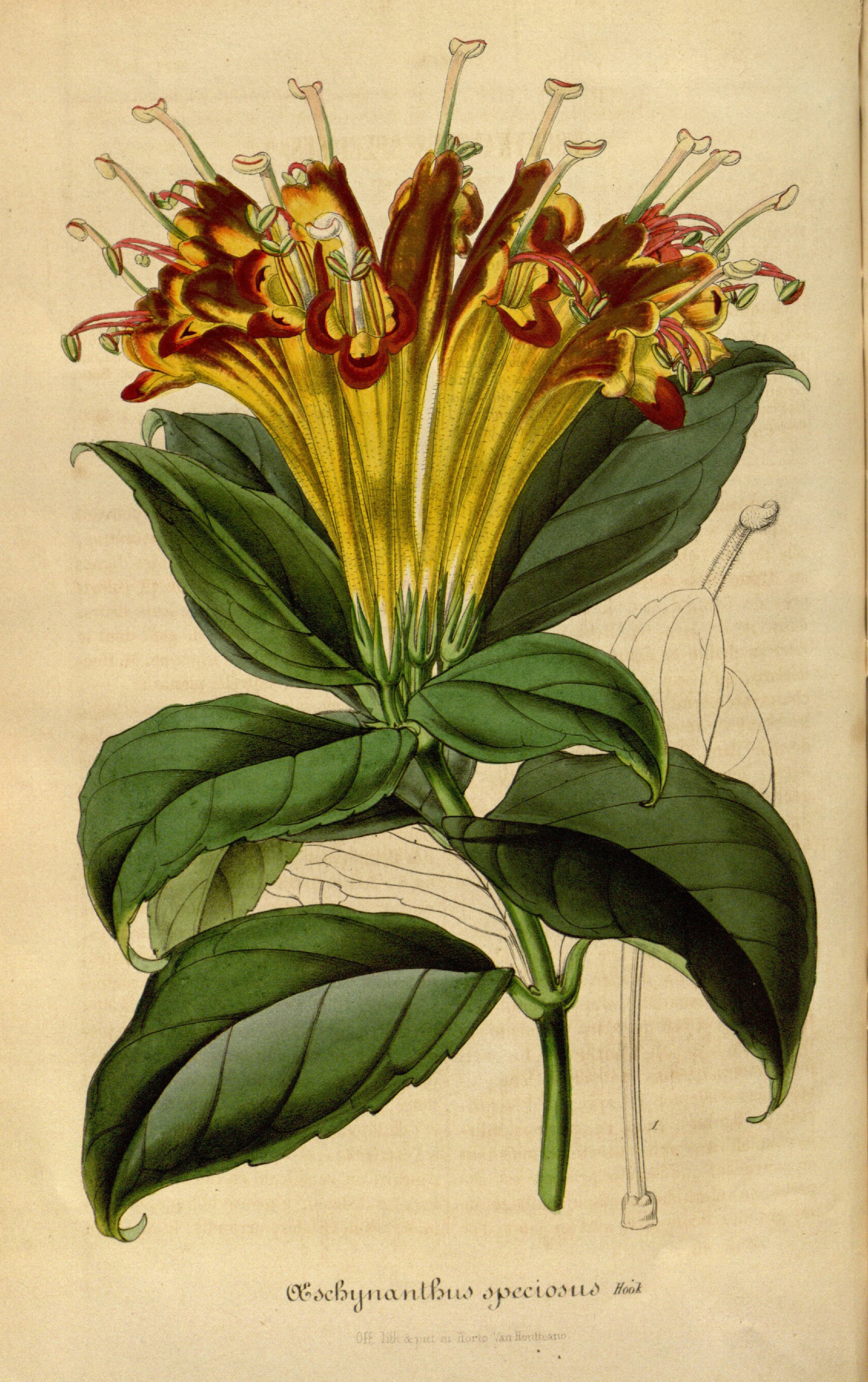 no full size  illustration available (3a)