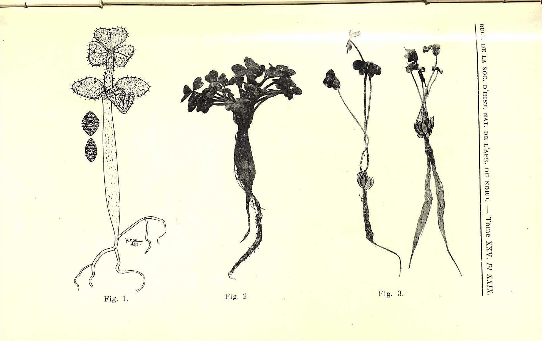 no full size  illustration available (3a)