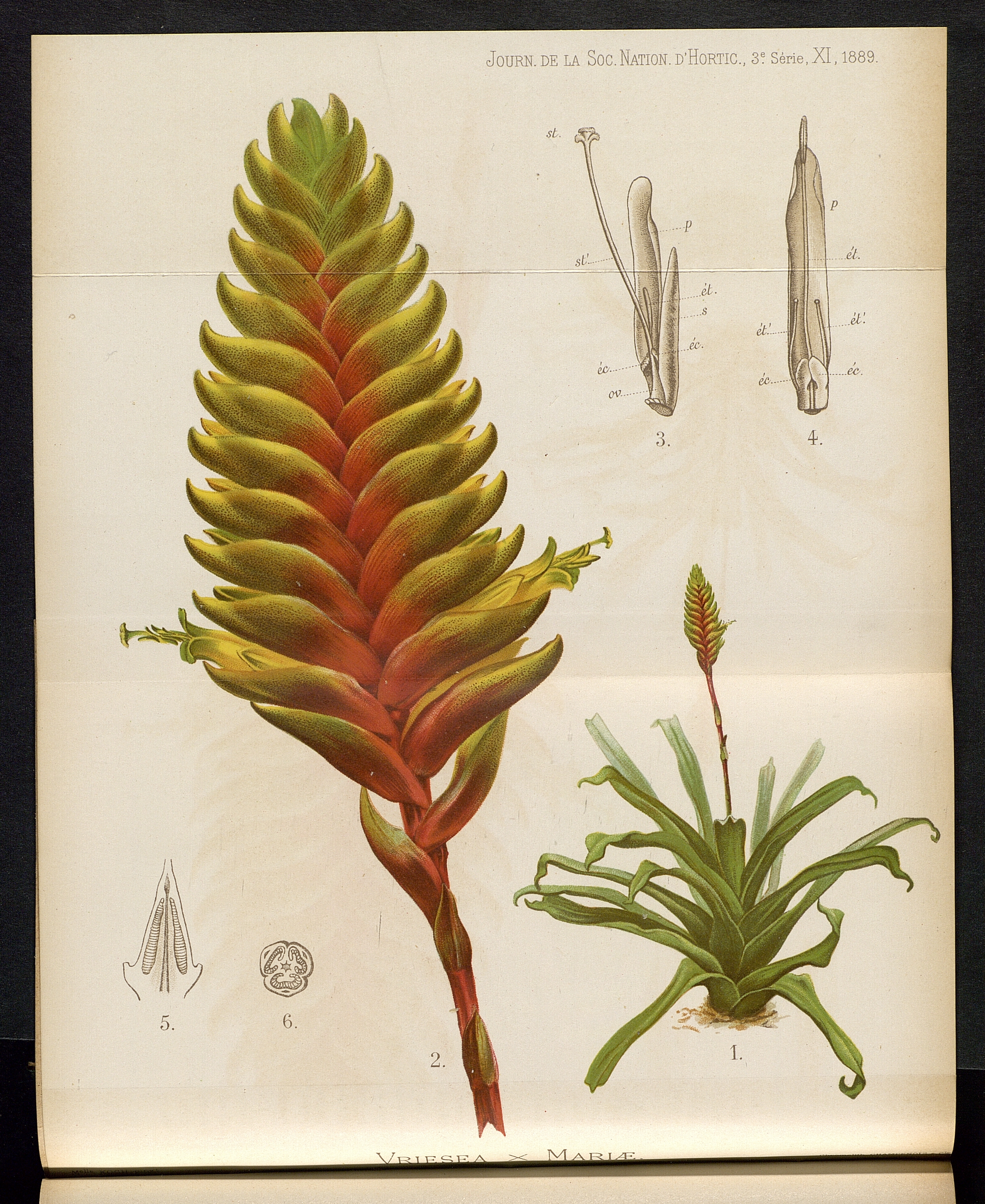 no full size  illustration available (3a)