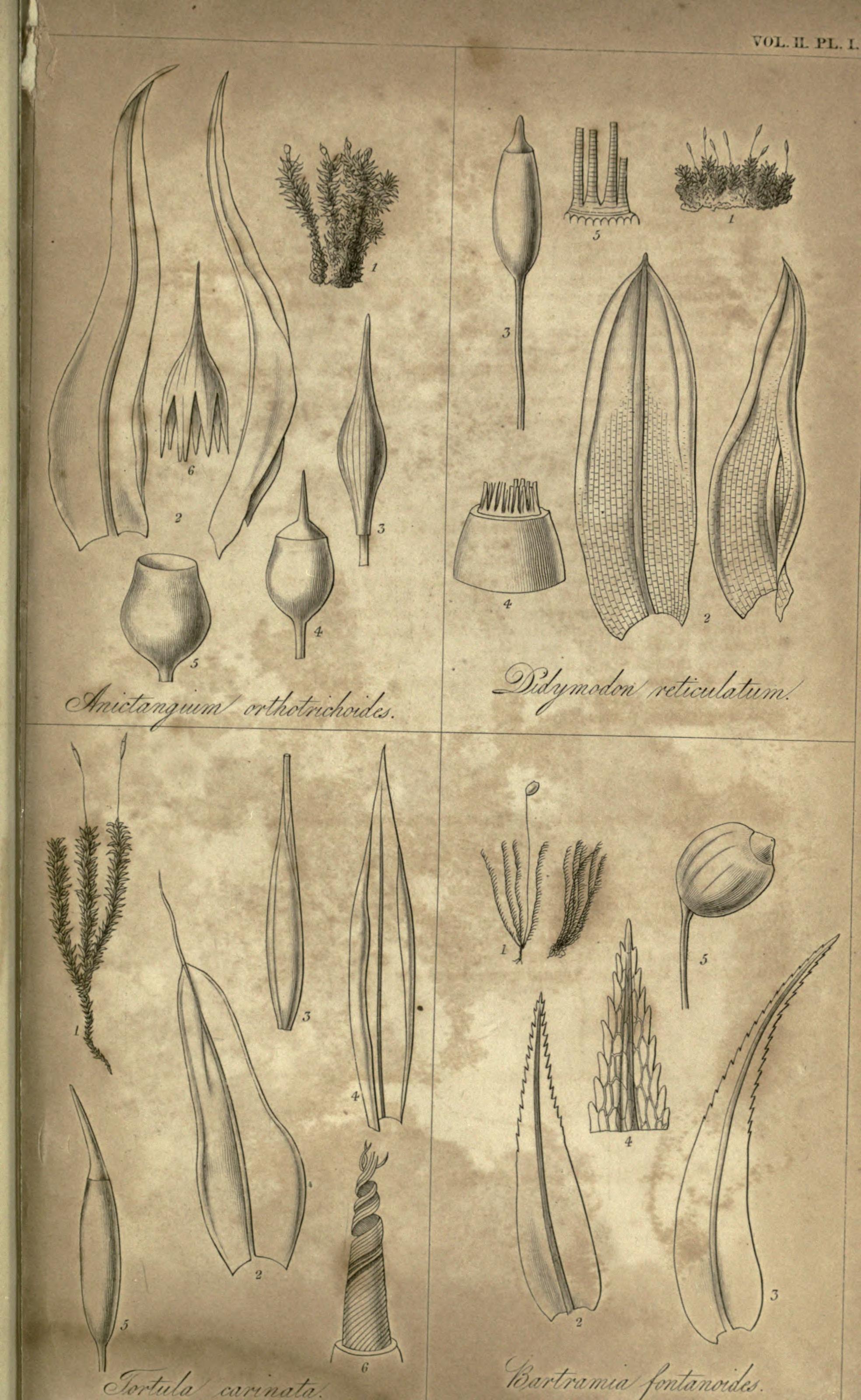 no full size  illustration available (3a)