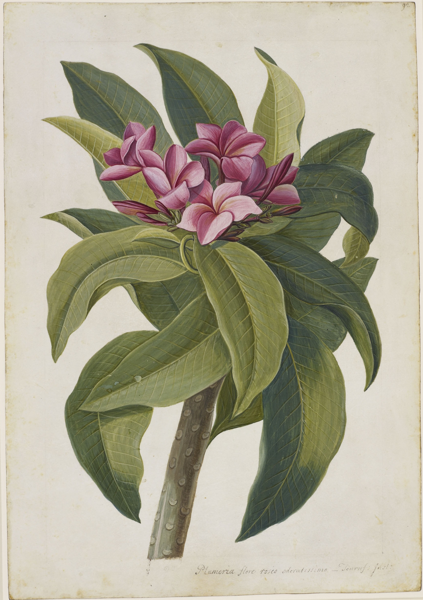 no full size  illustration available (3a)