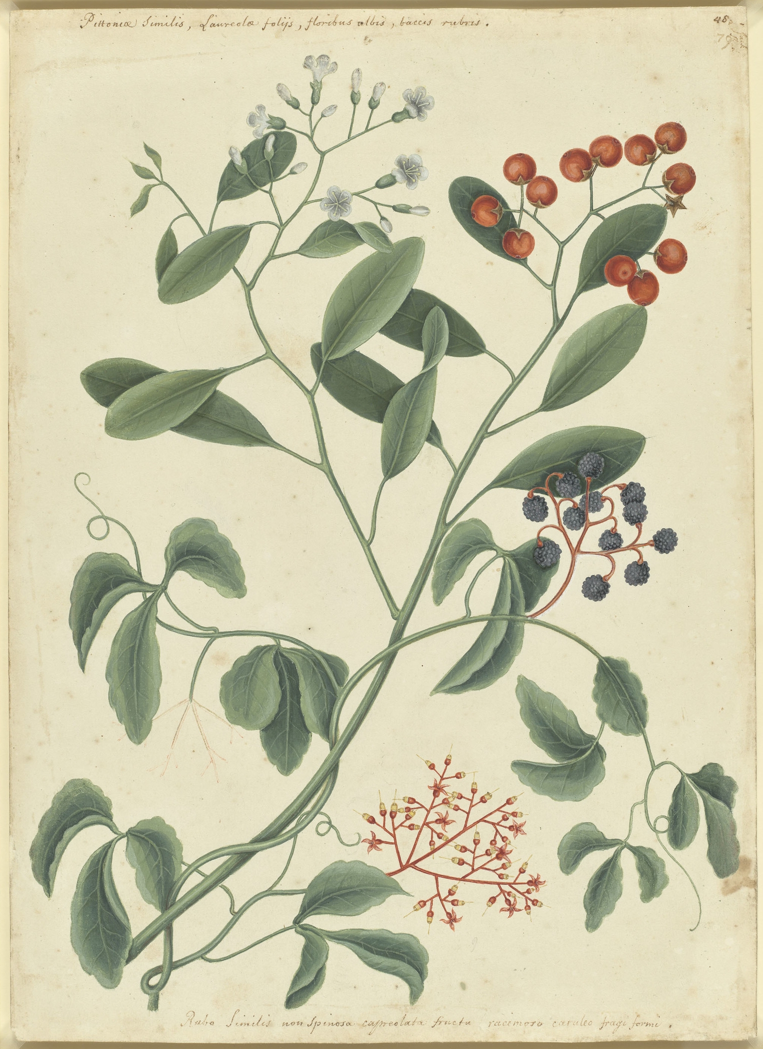 no full size  illustration available (3a)