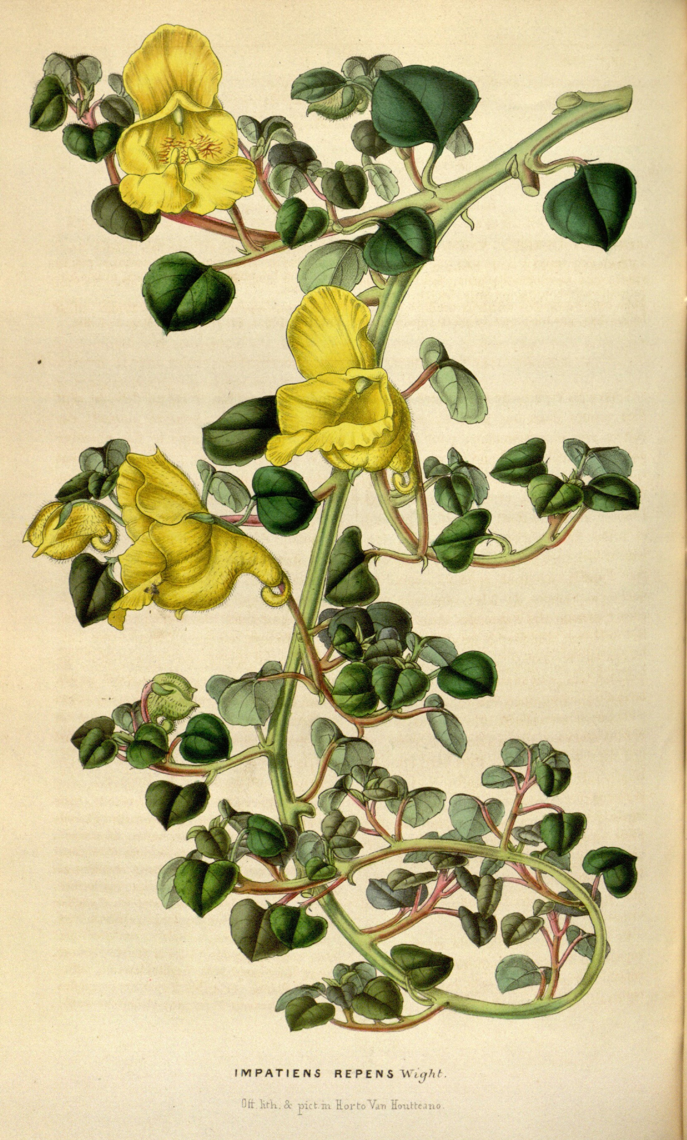 no full size  illustration available (3a)