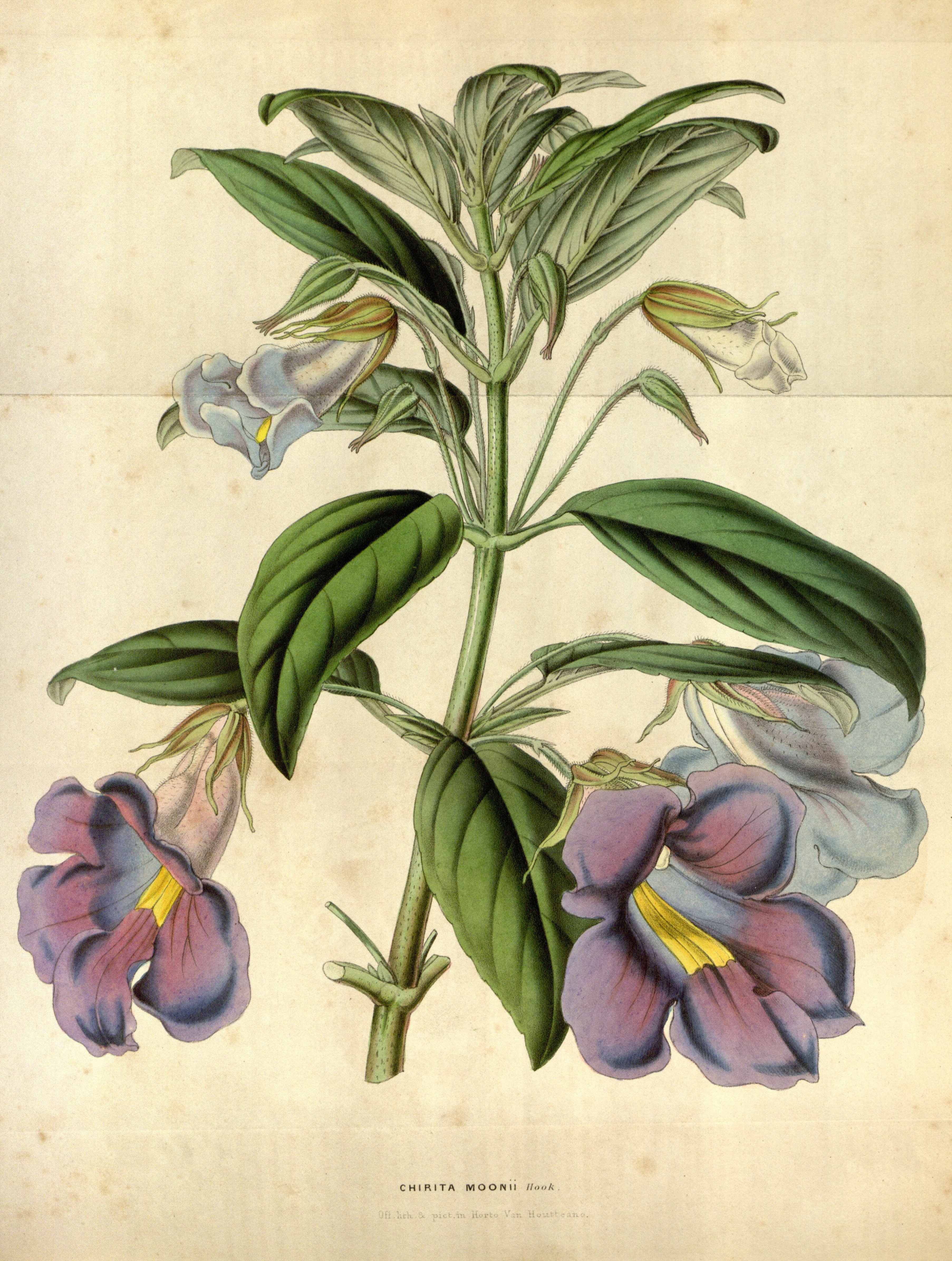 no full size  illustration available (3a)