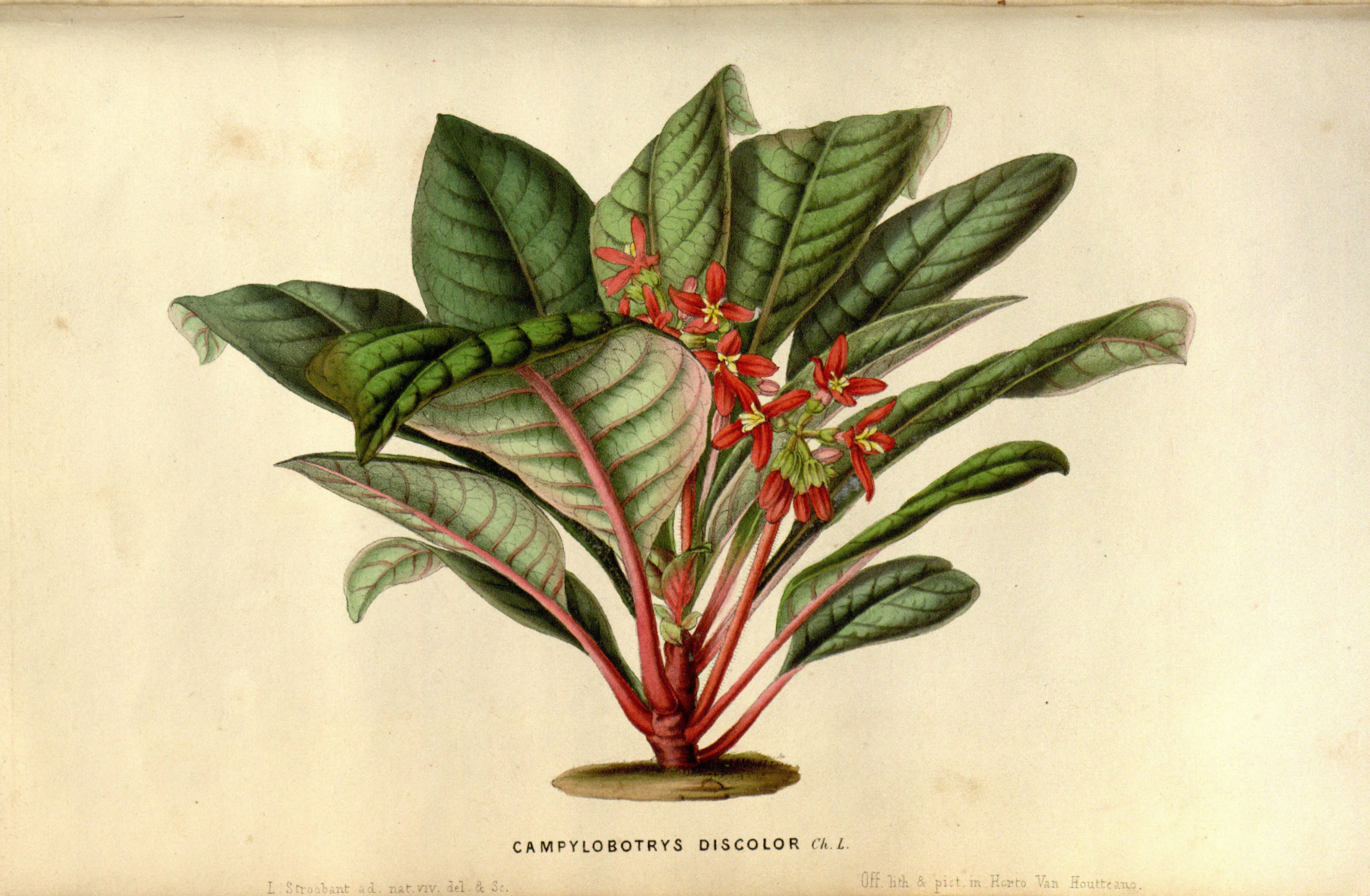 no full size  illustration available (3a)