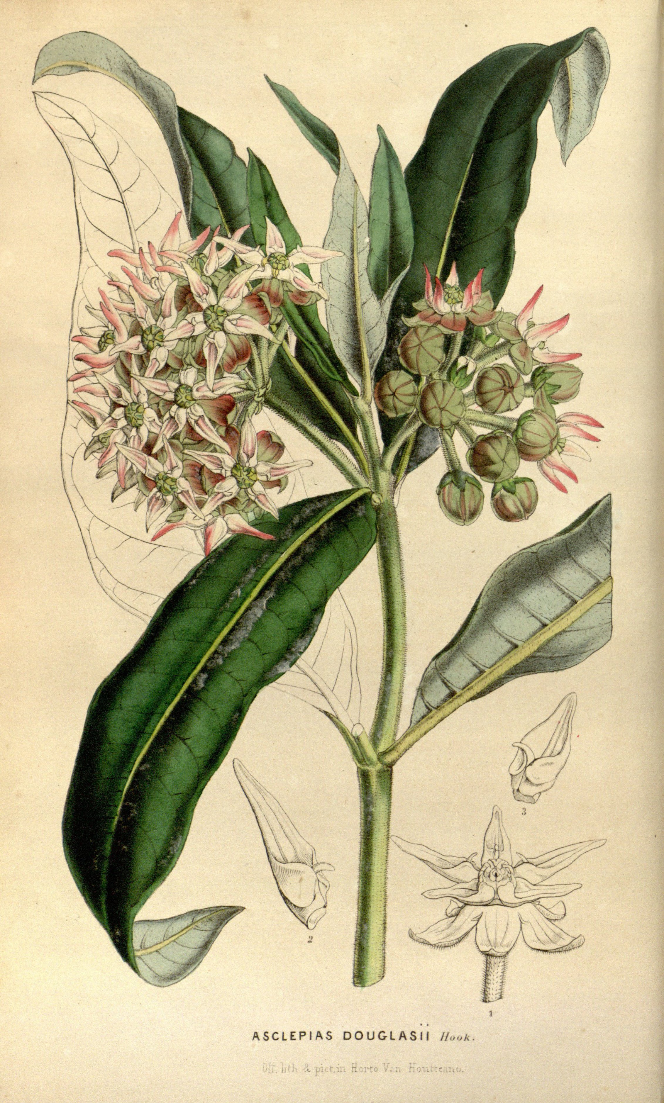 no full size  illustration available (3a)