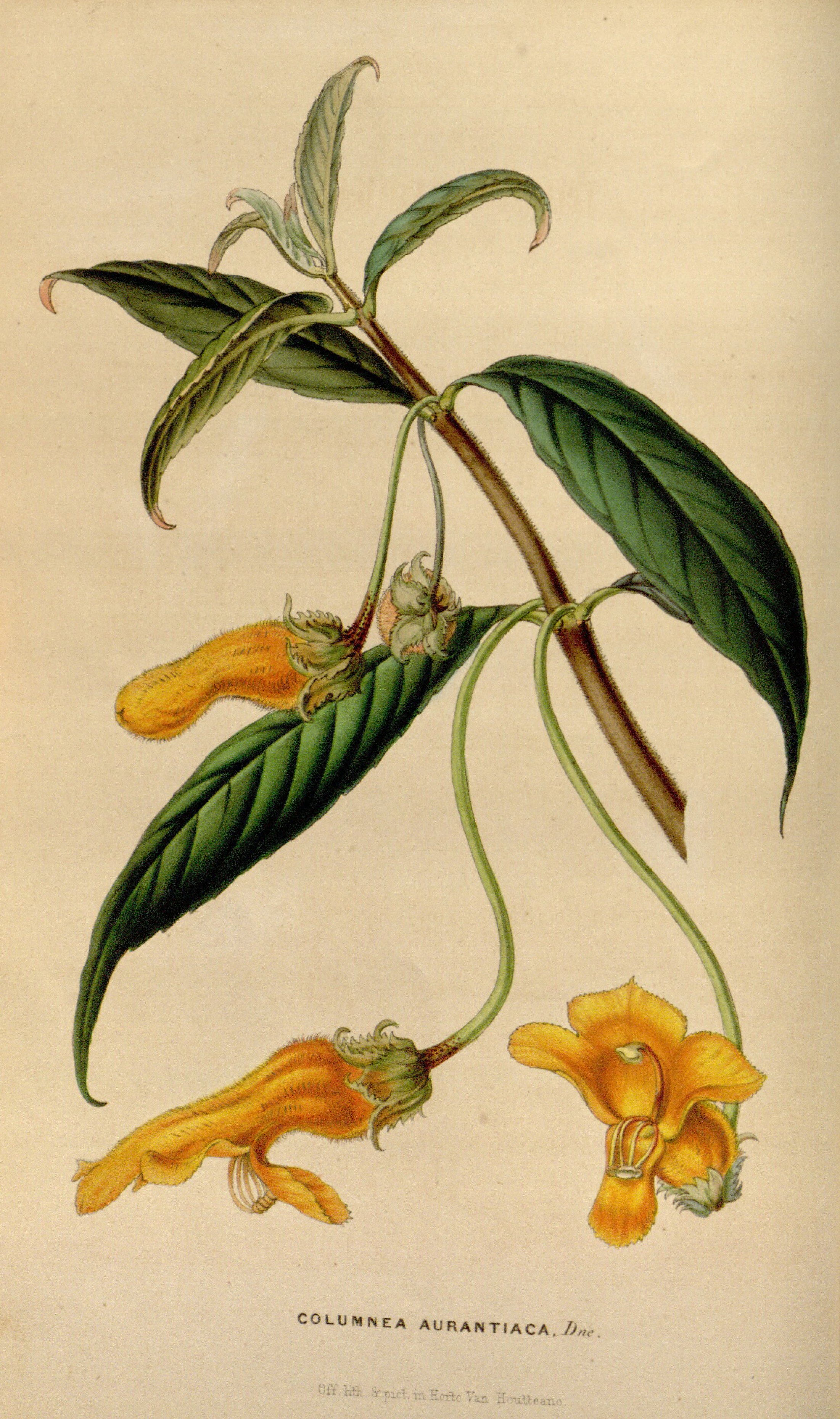 no full size  illustration available (3a)