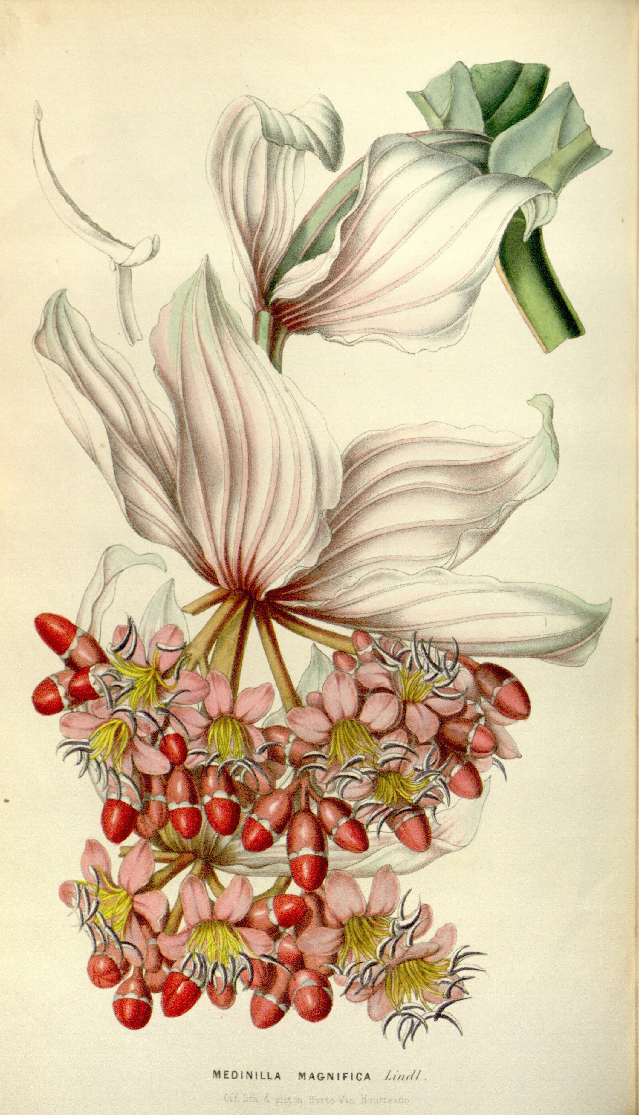 no full size  illustration available (3a)