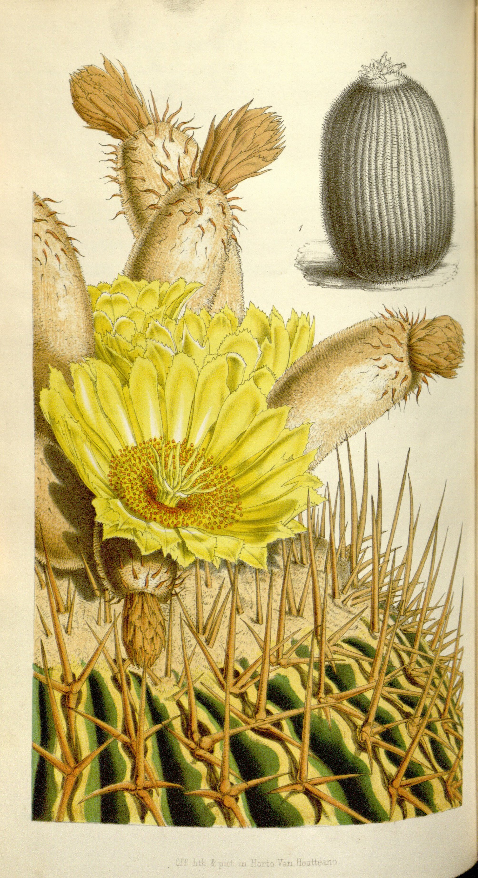 no full size  illustration available (3a)