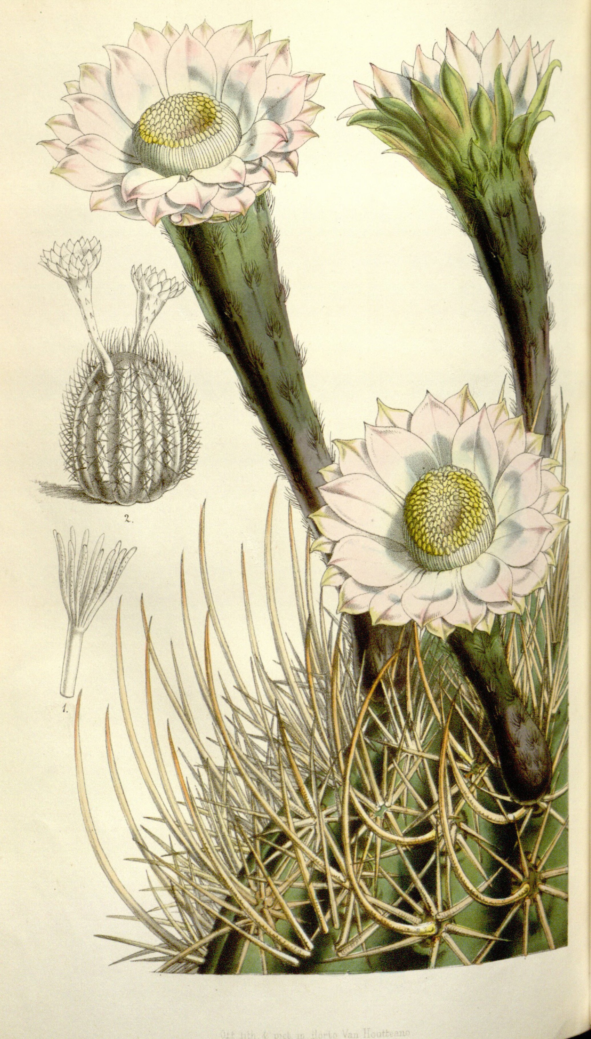 no full size  illustration available (3a)