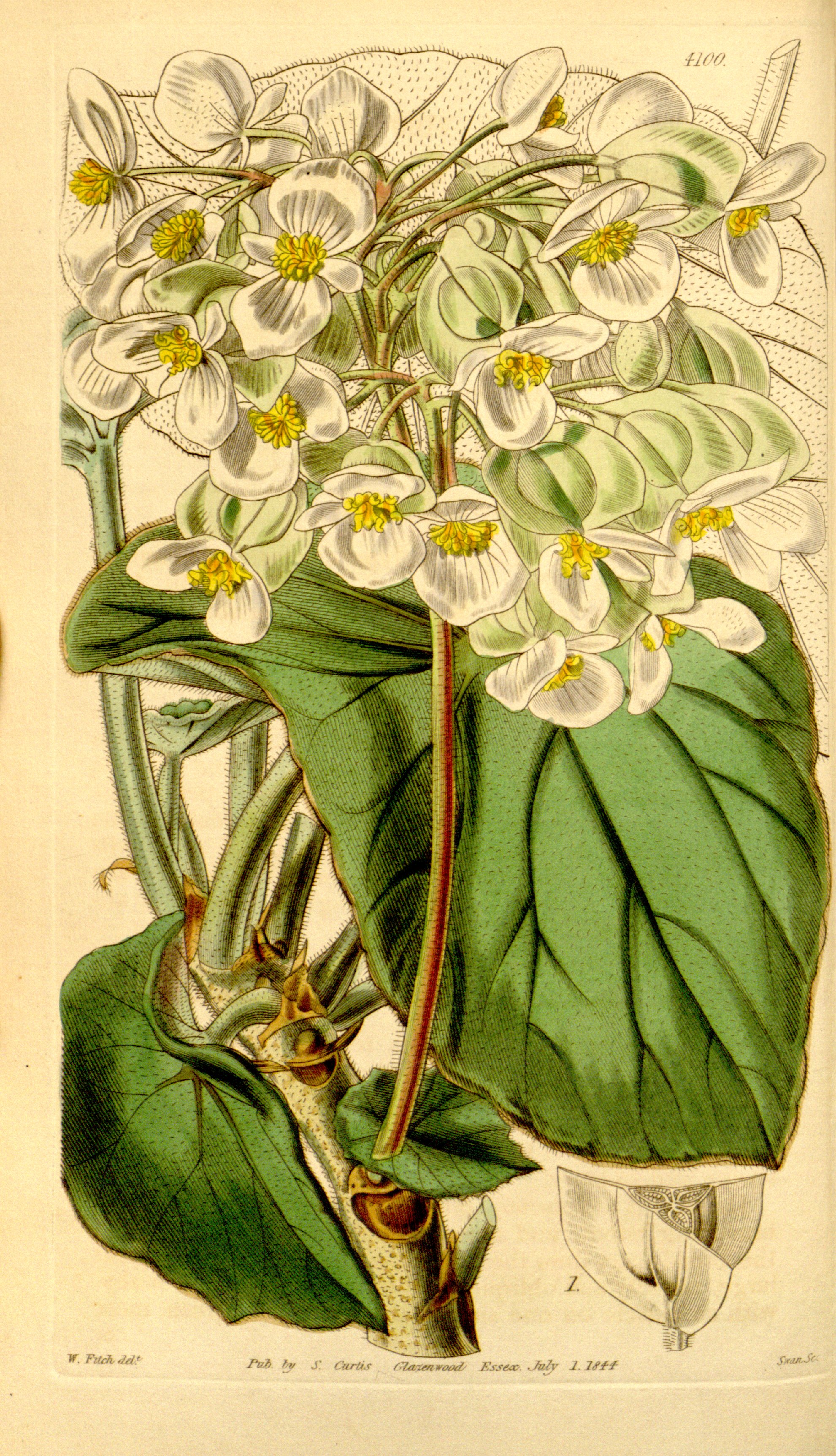 no full size  illustration available (3a)