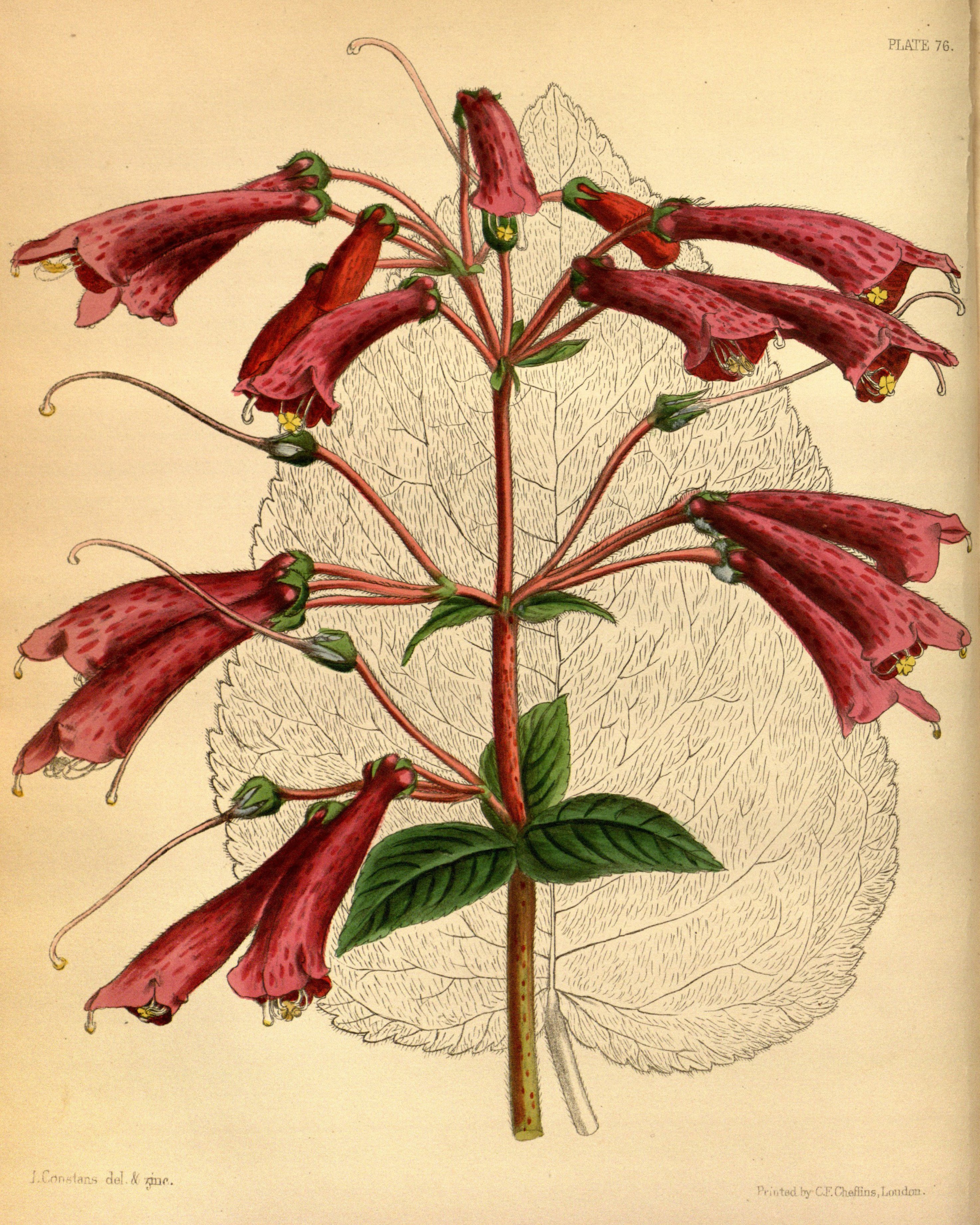 no full size  illustration available (3a)