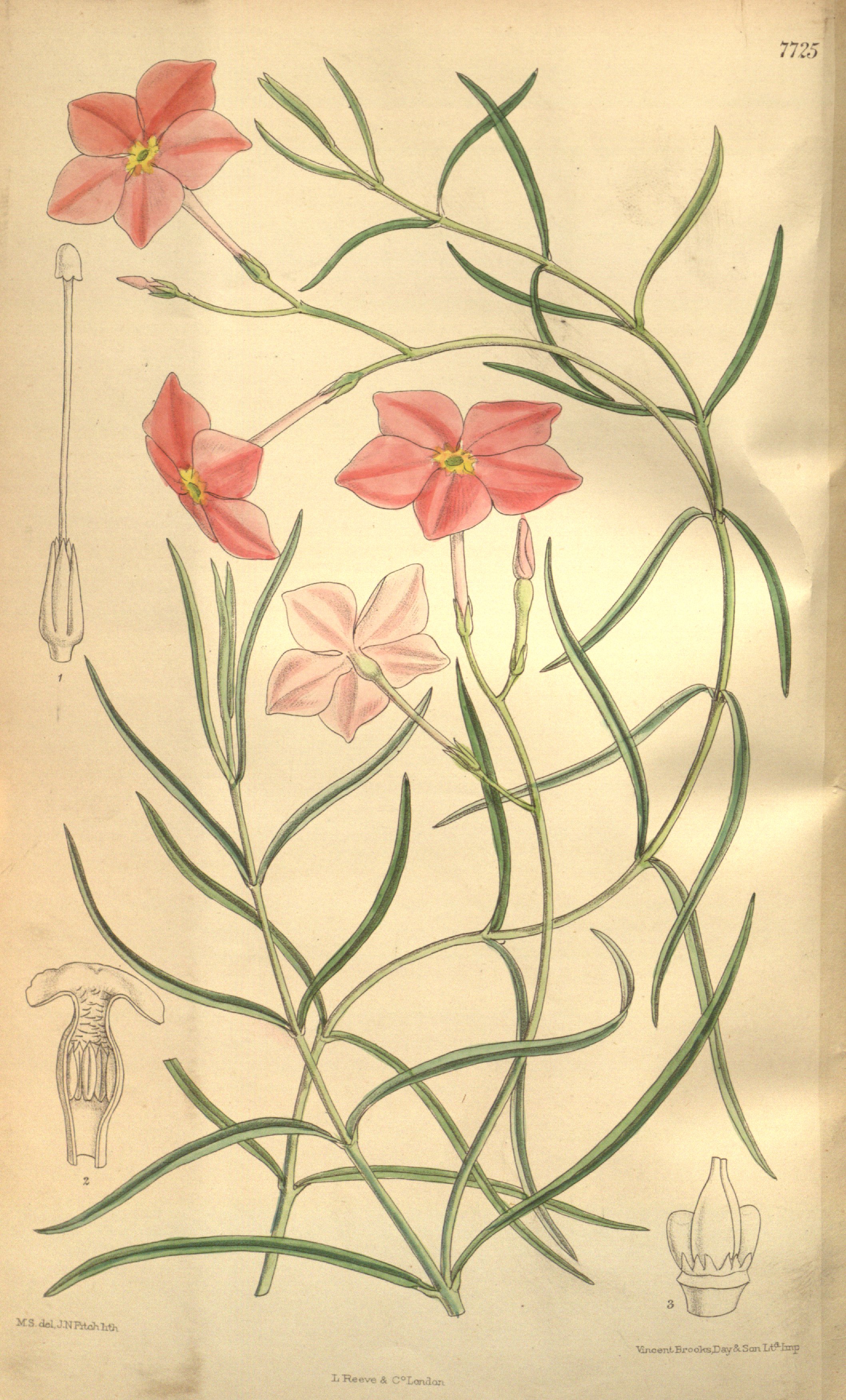 no full size  illustration available (3a)