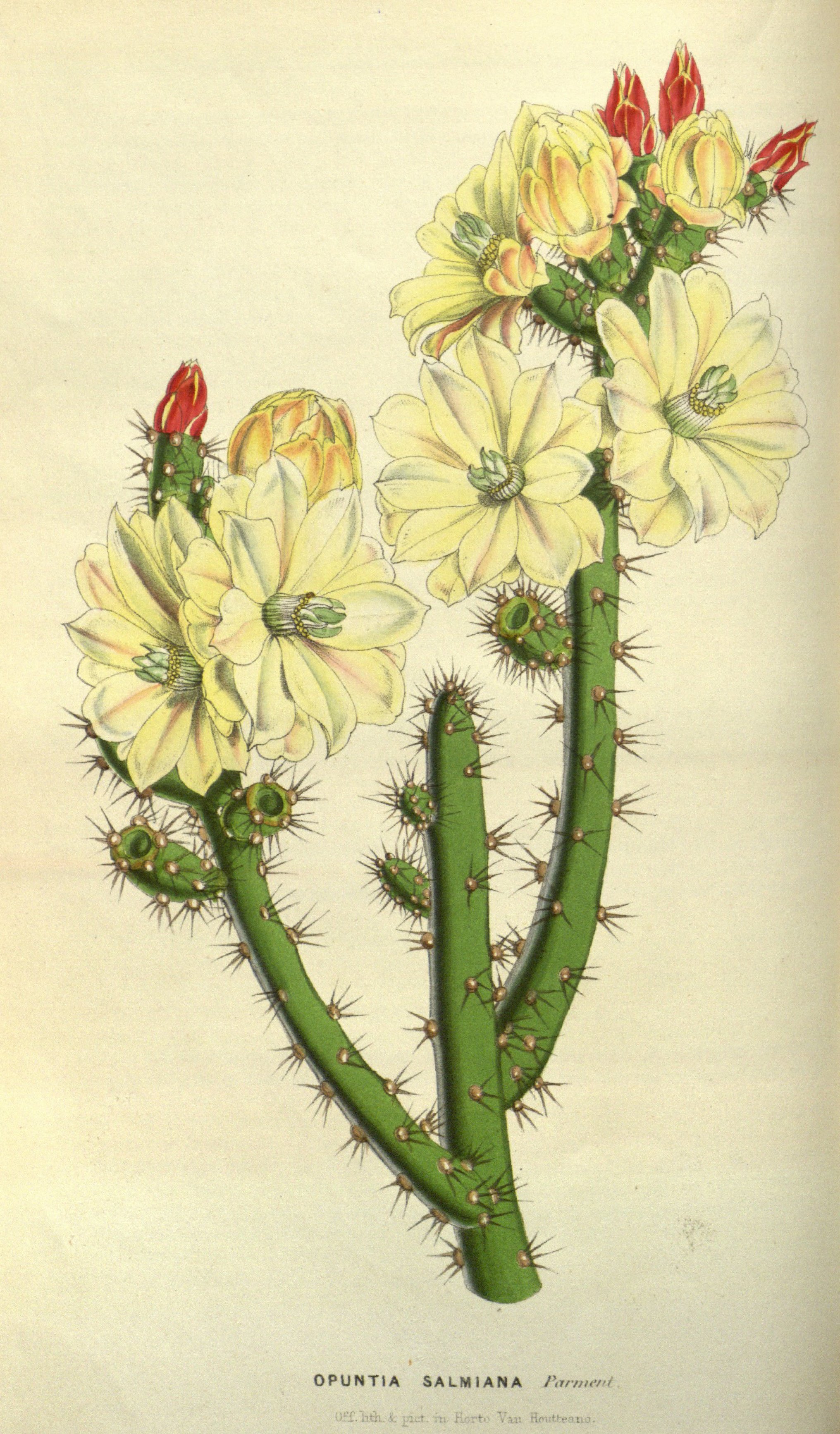 no full size  illustration available (3a)