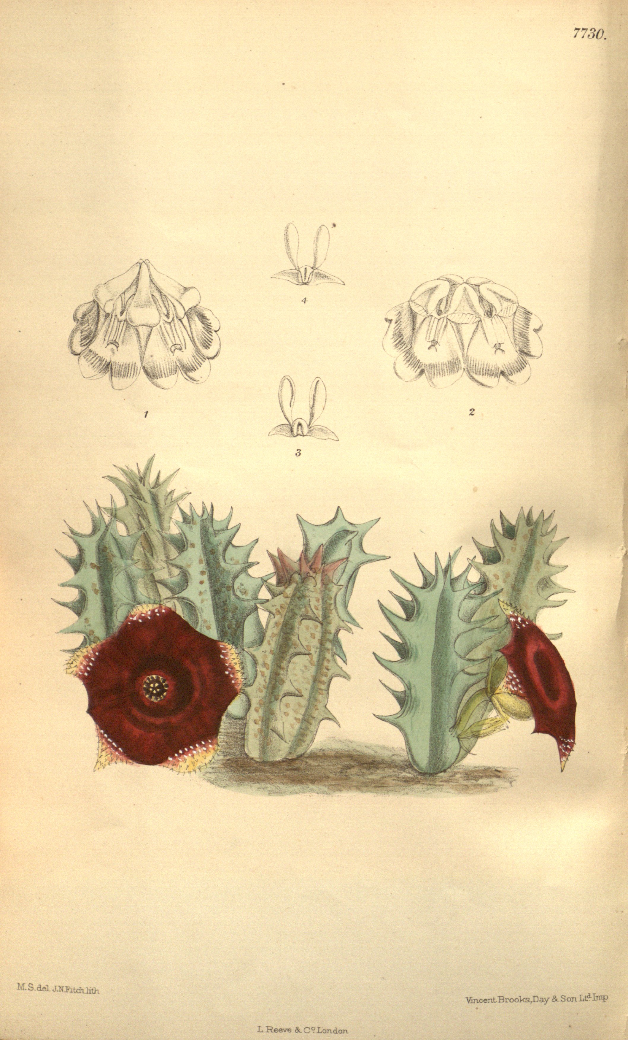 no full size  illustration available (3a)