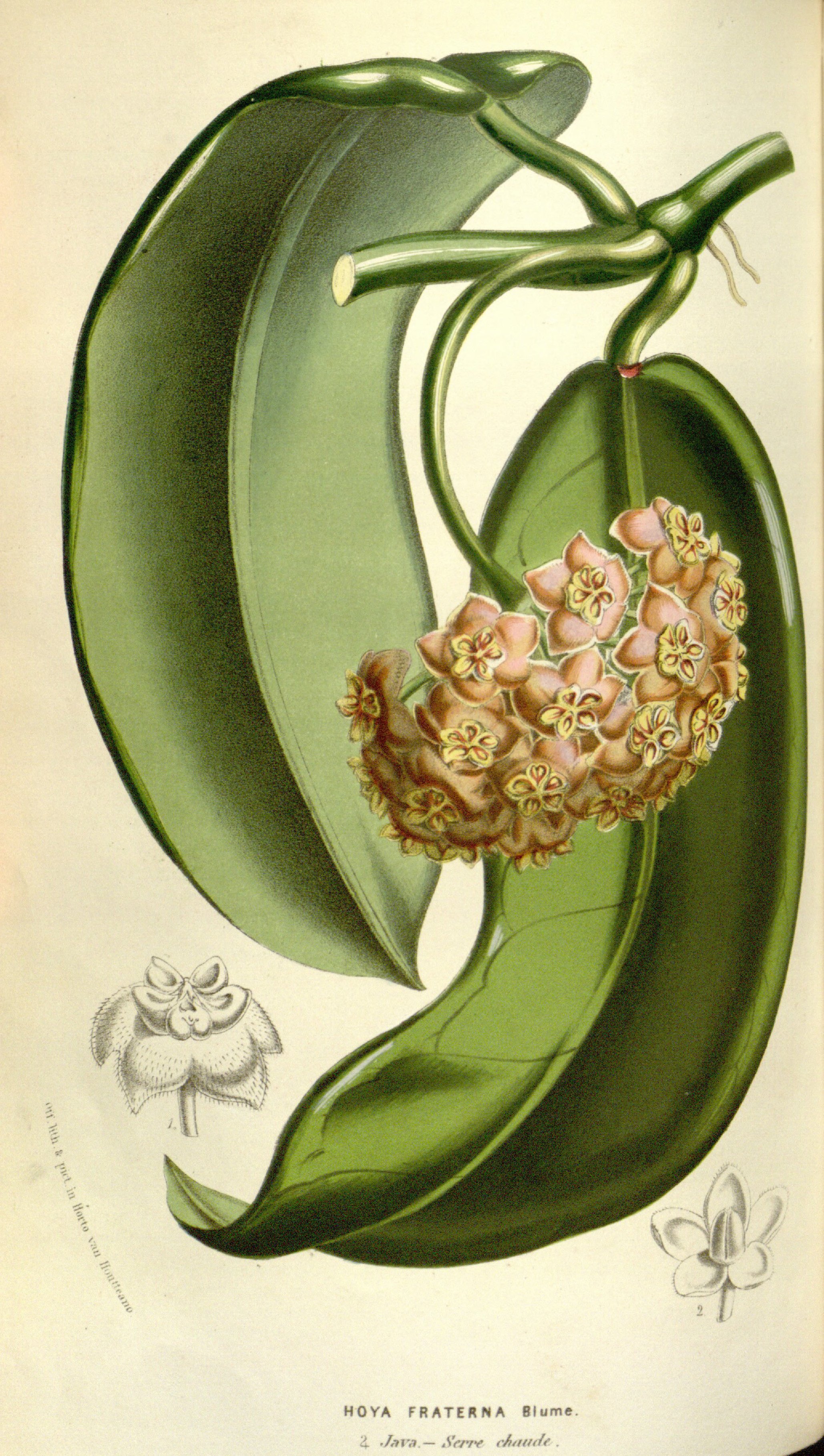 no full size  illustration available (3a)