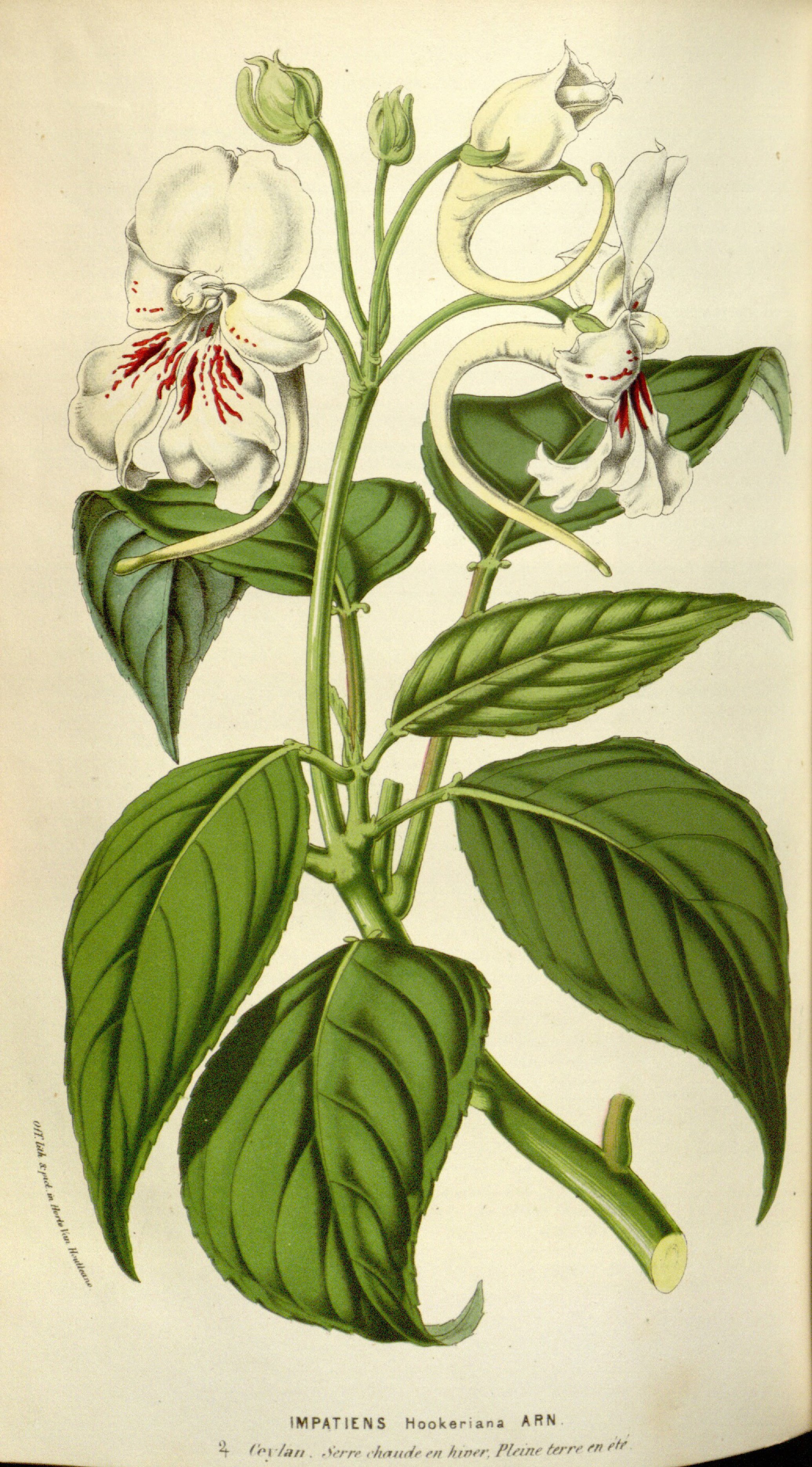 no full size  illustration available (3a)