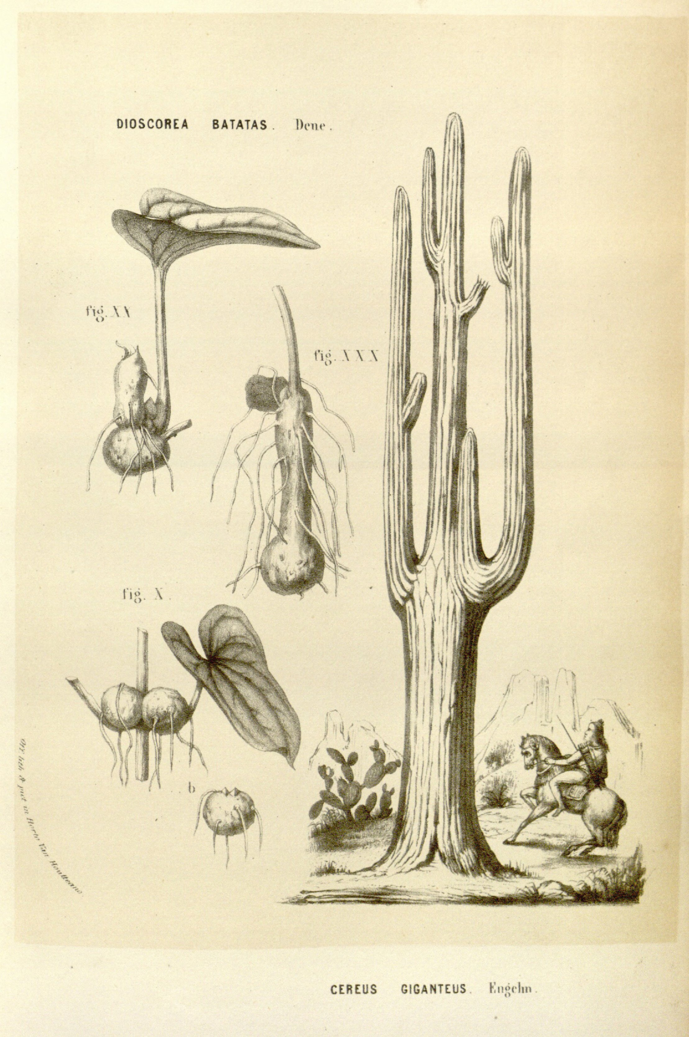 no full size  illustration available (3a)