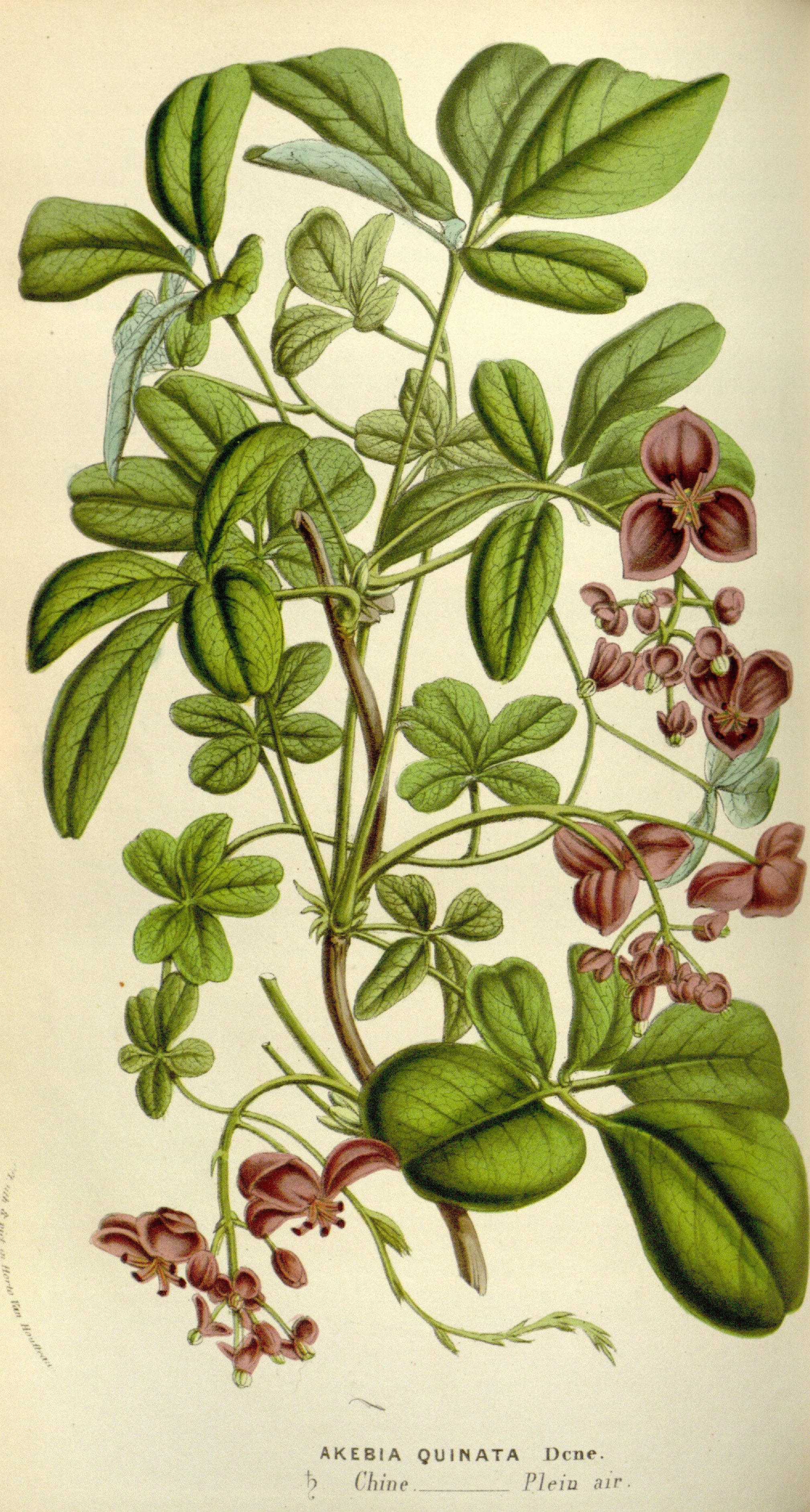 no full size  illustration available (3a)