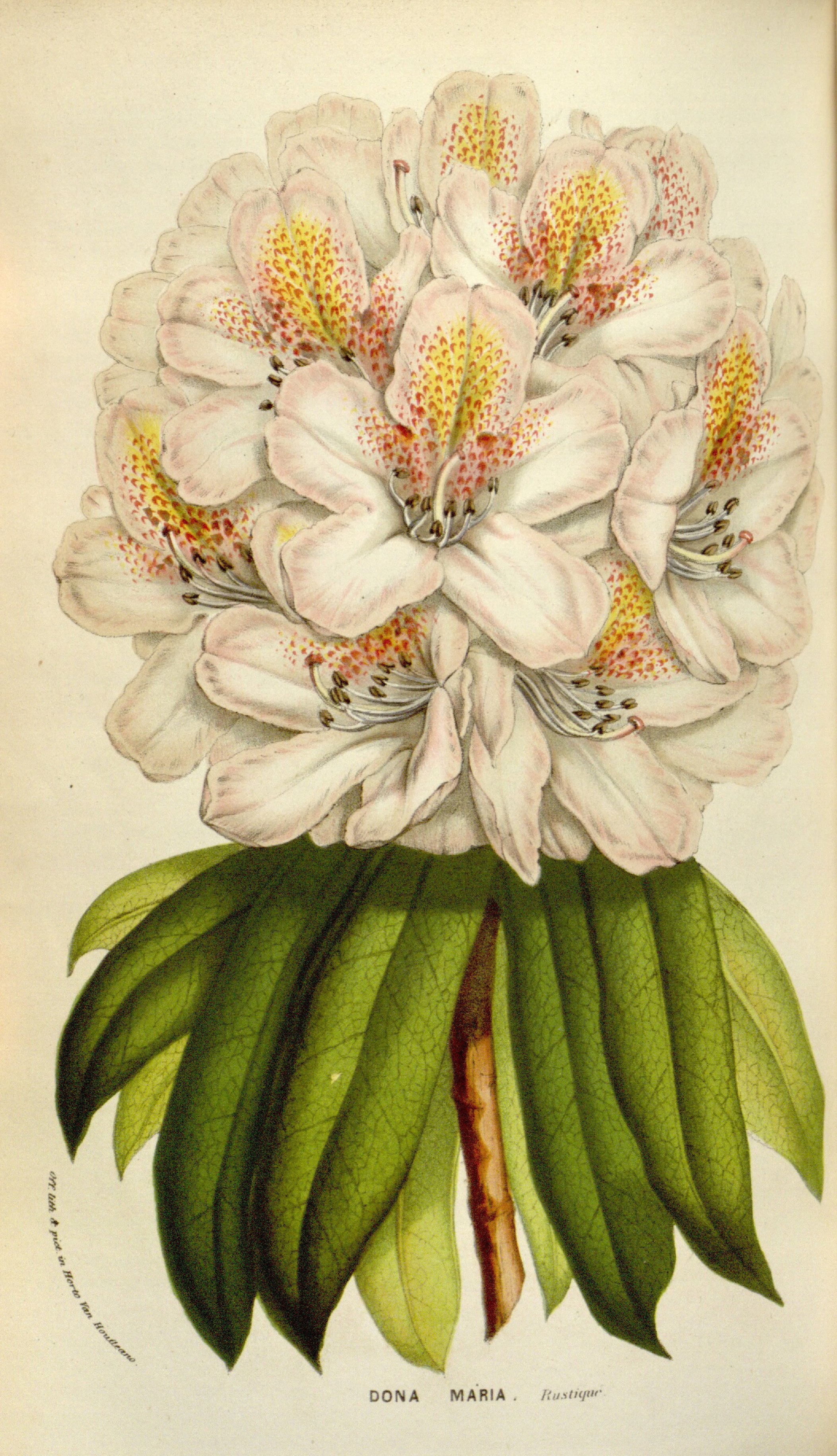 no full size  illustration available (3a)