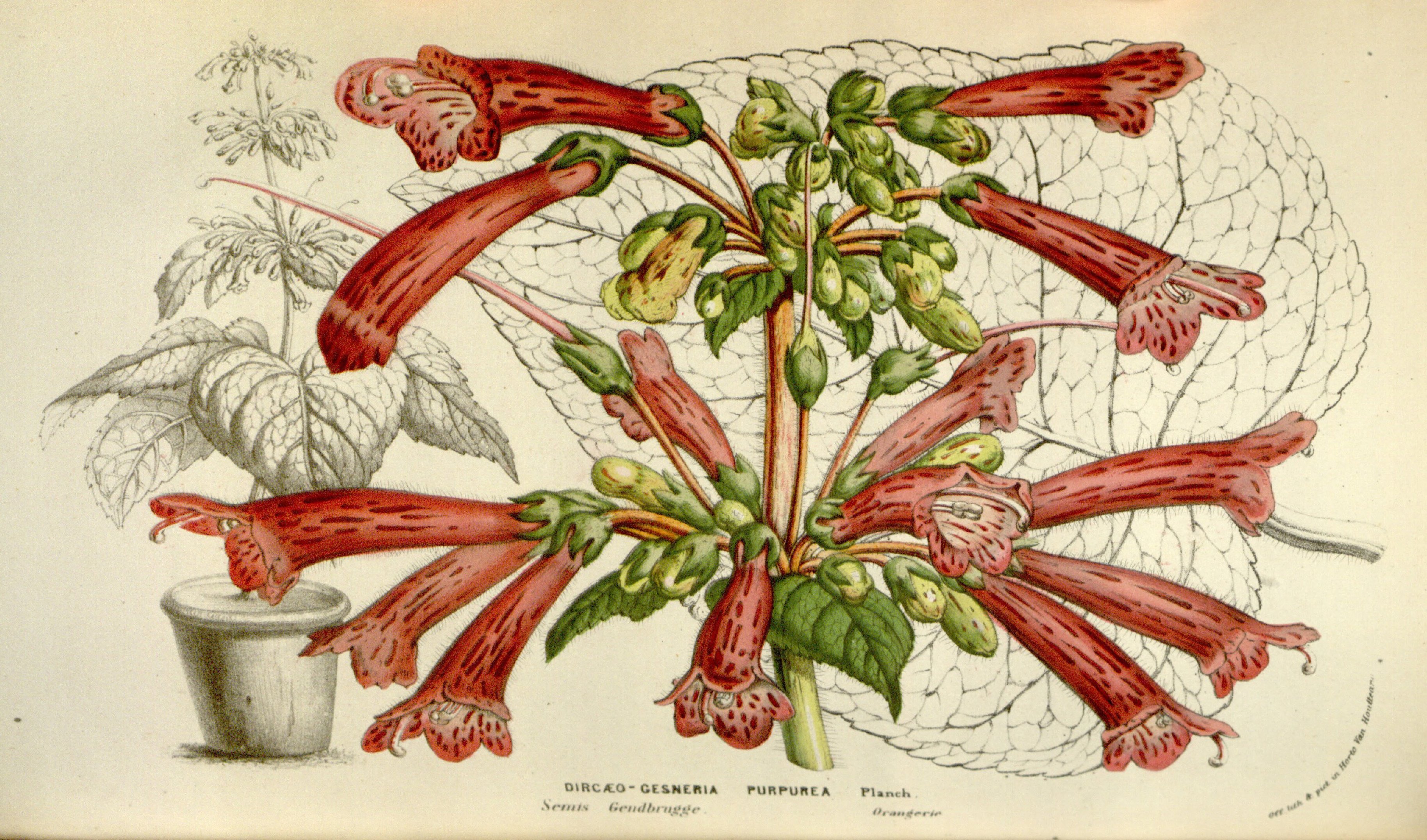 no full size  illustration available (3a)