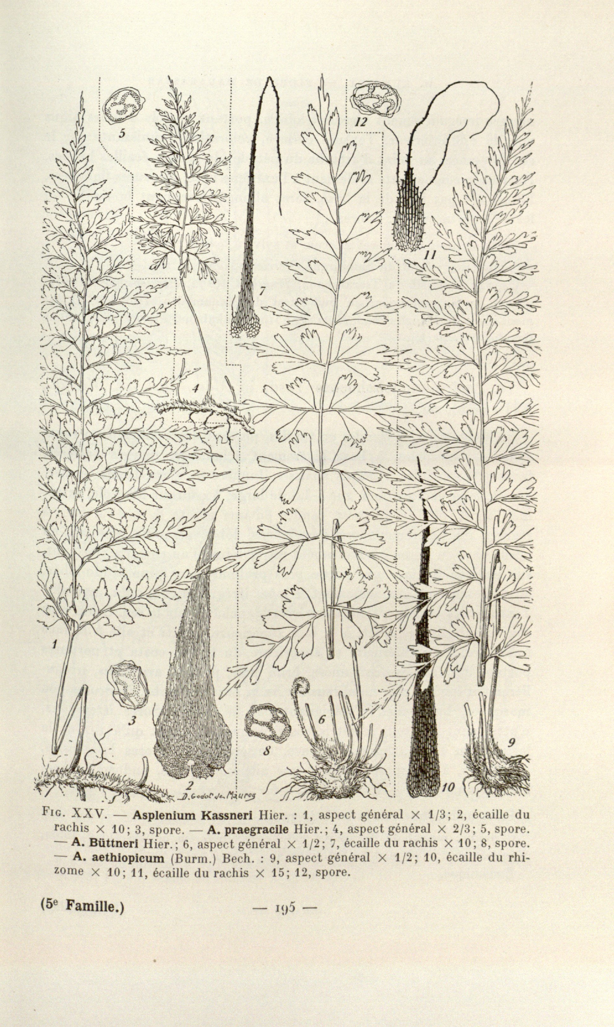 no full size  illustration available (3a)