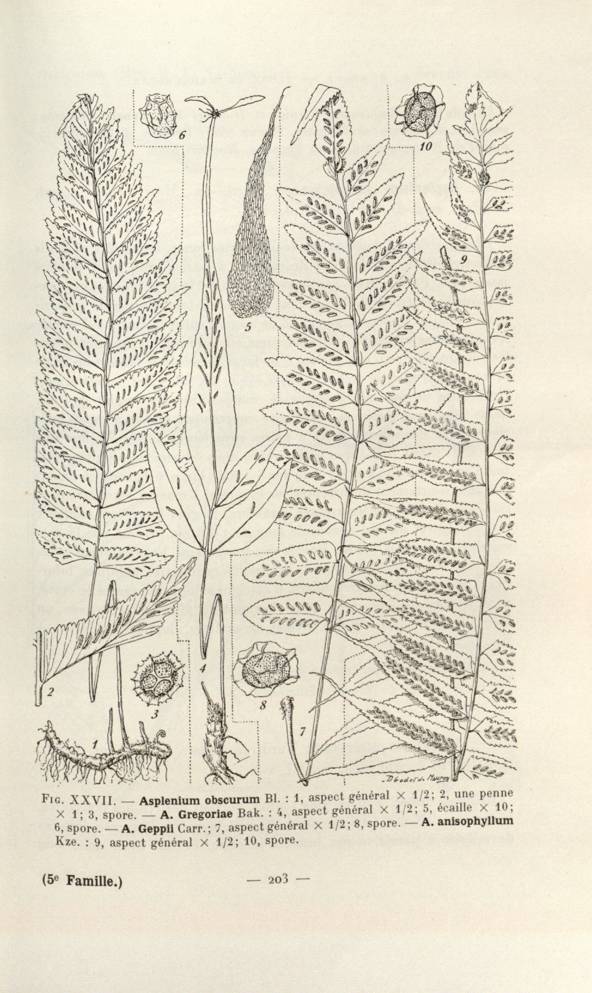 no full size  illustration available (3a)