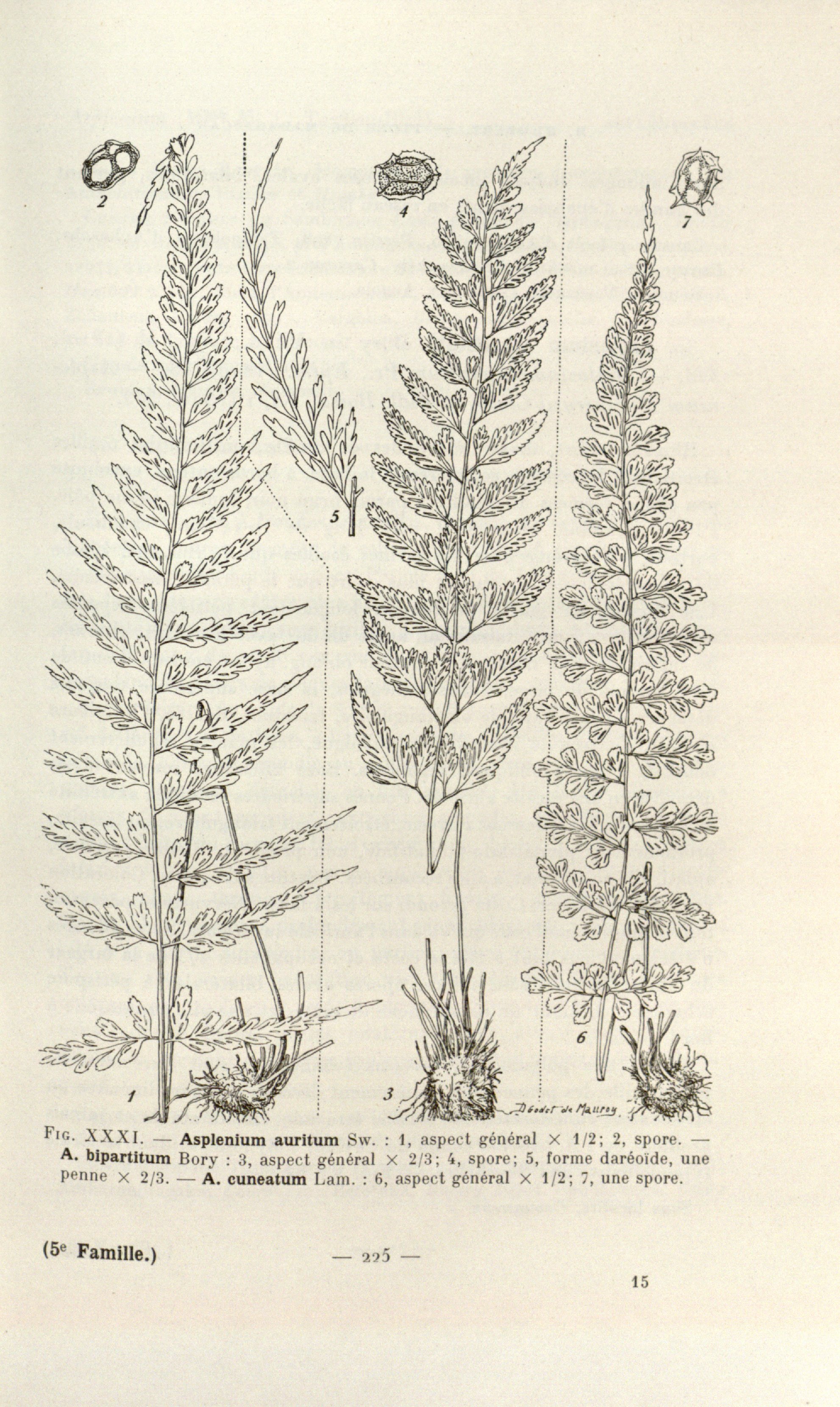 no full size  illustration available (3a)