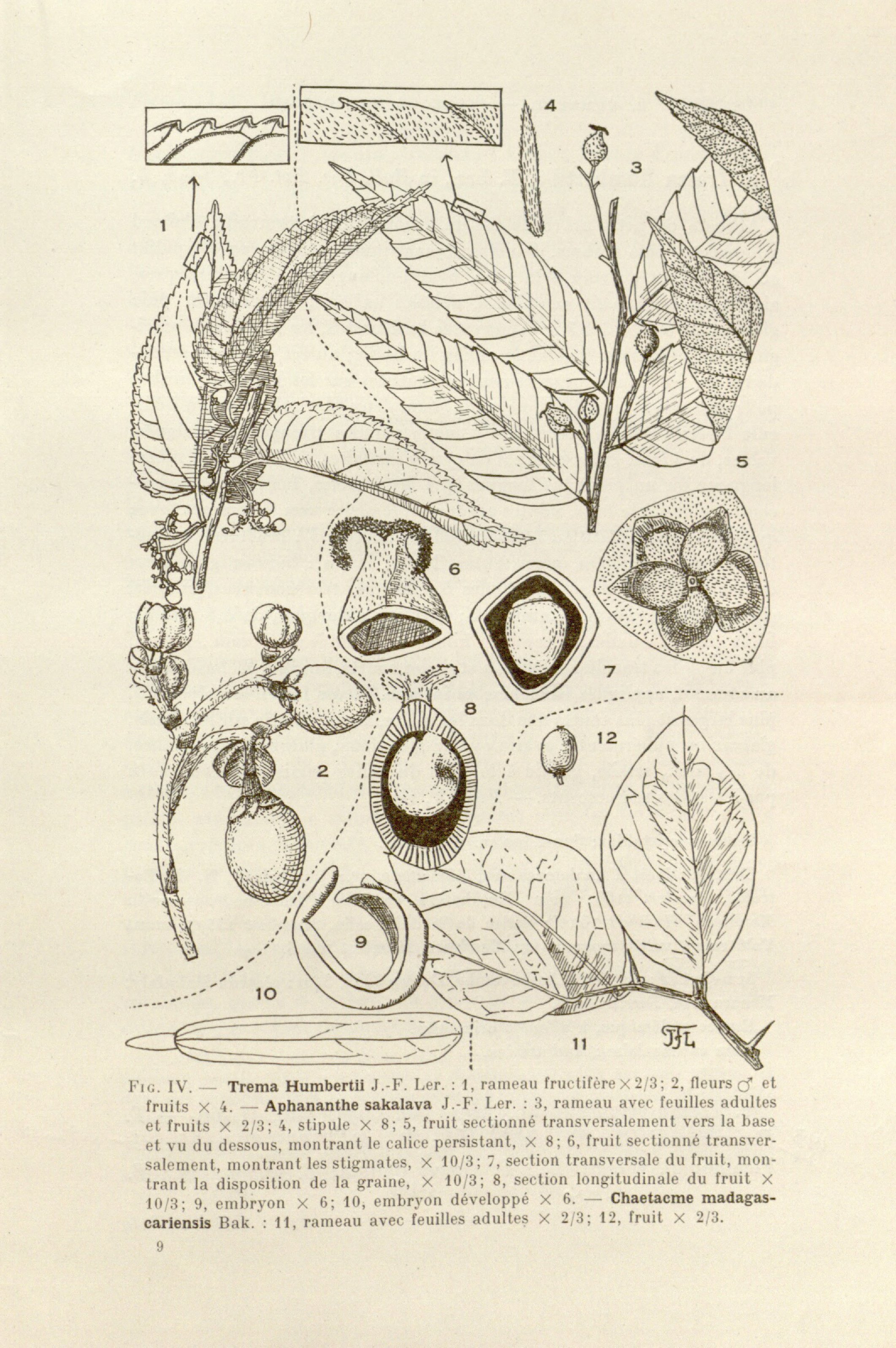 no full size  illustration available (3a)