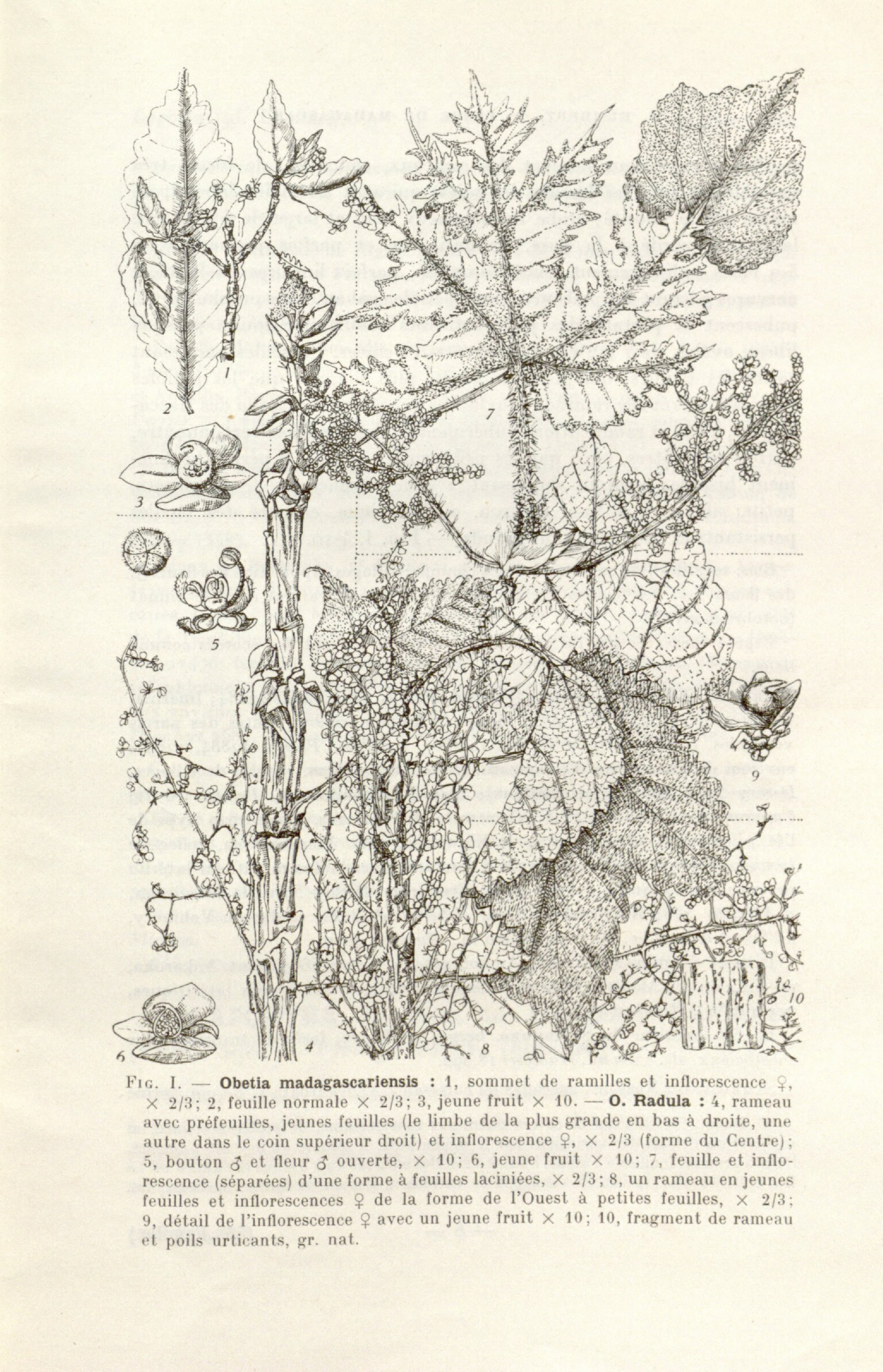 no full size  illustration available (3a)