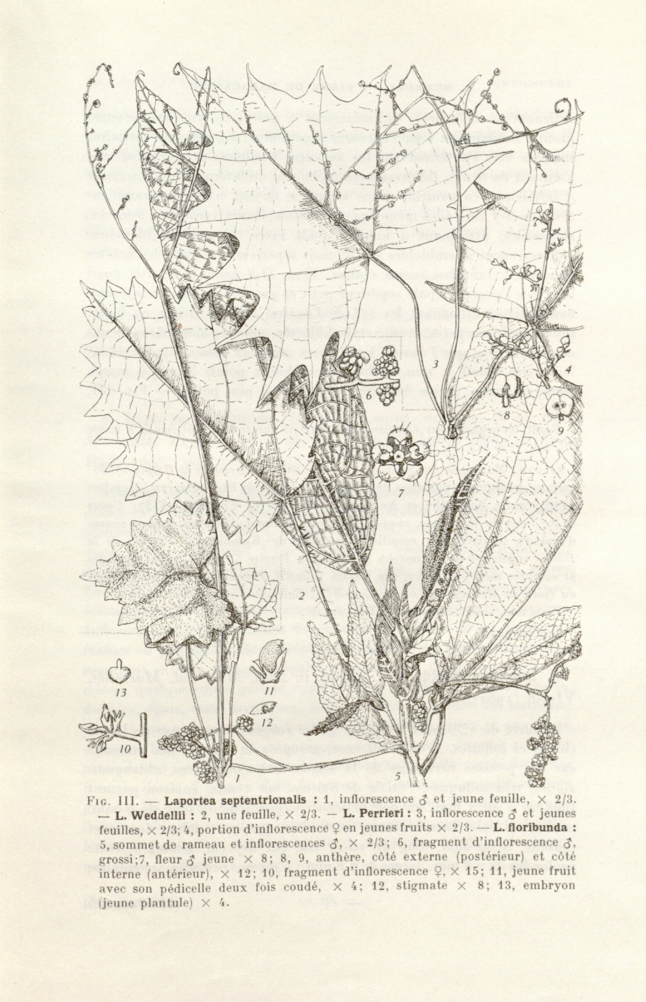 no full size  illustration available (3a)