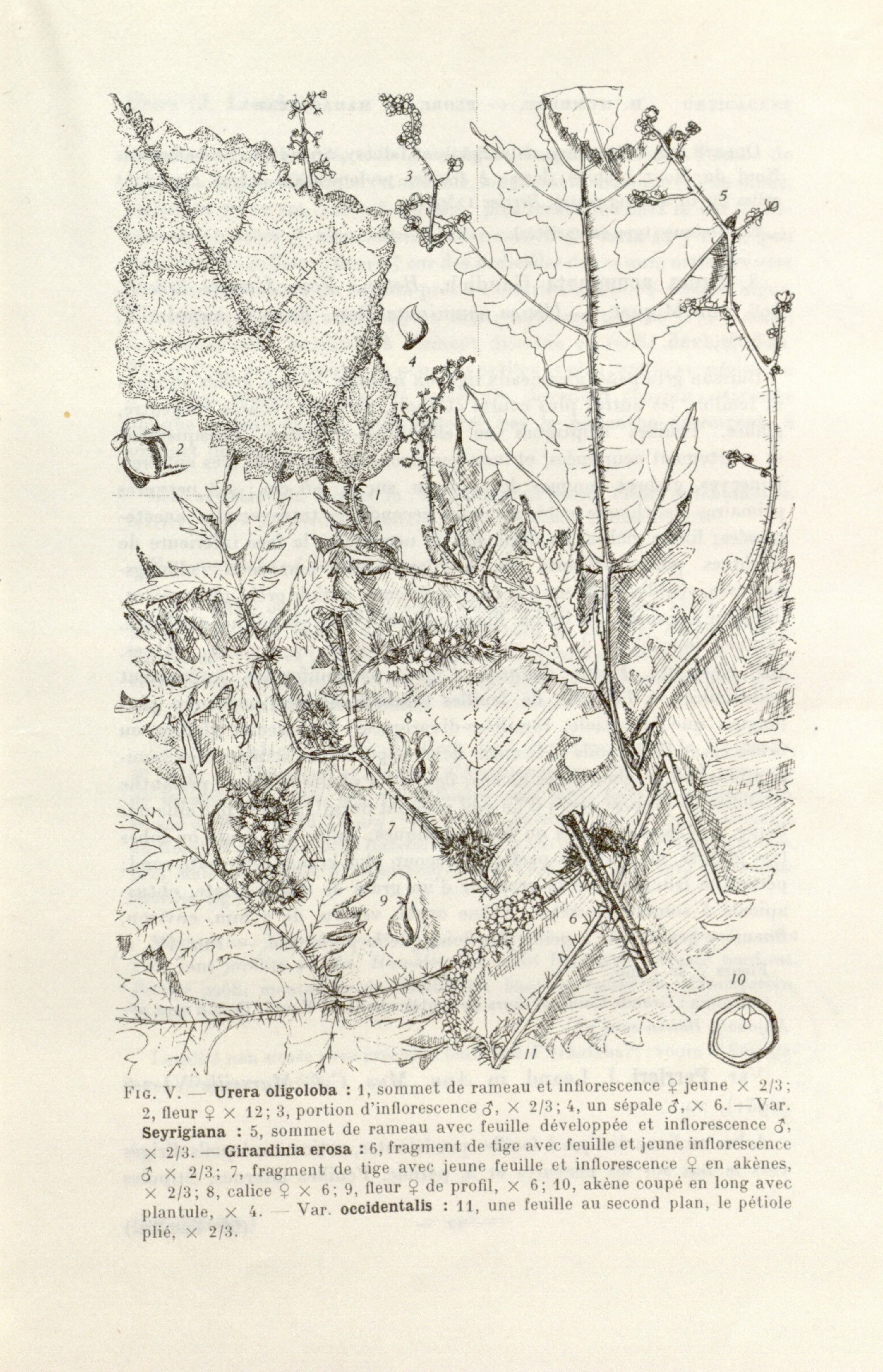 no full size  illustration available (3a)