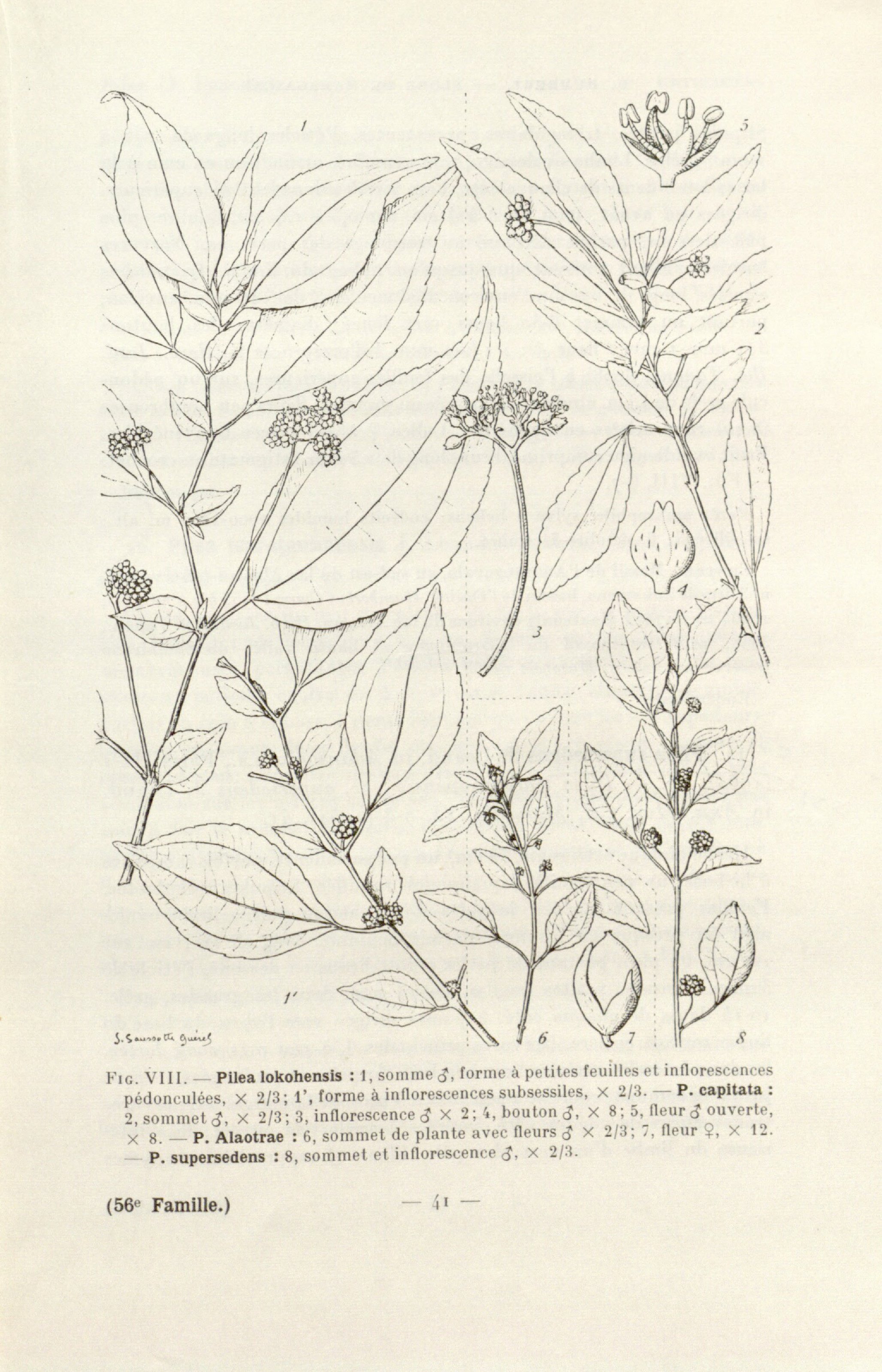 no full size  illustration available (3a)