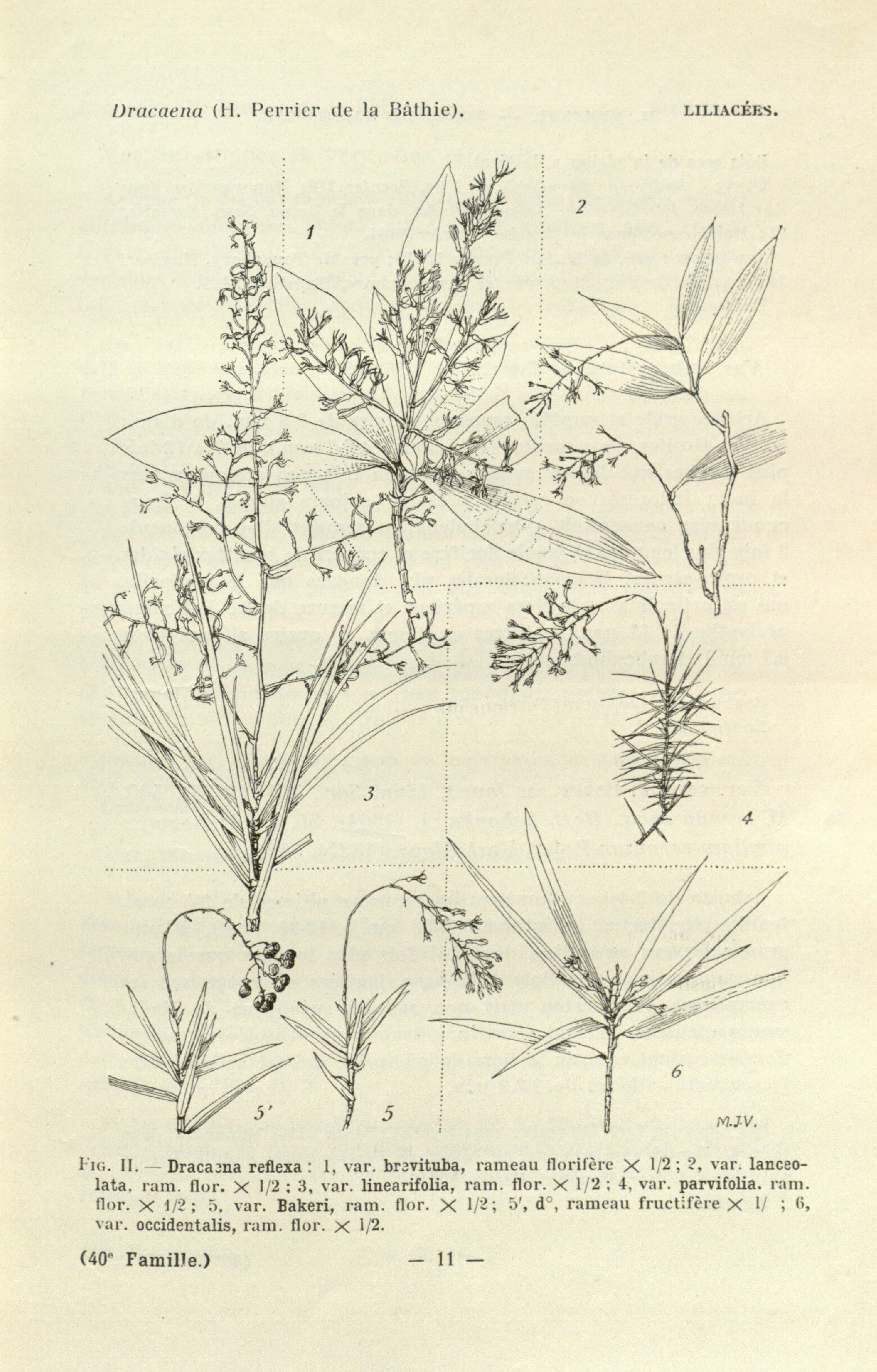 no full size  illustration available (3a)