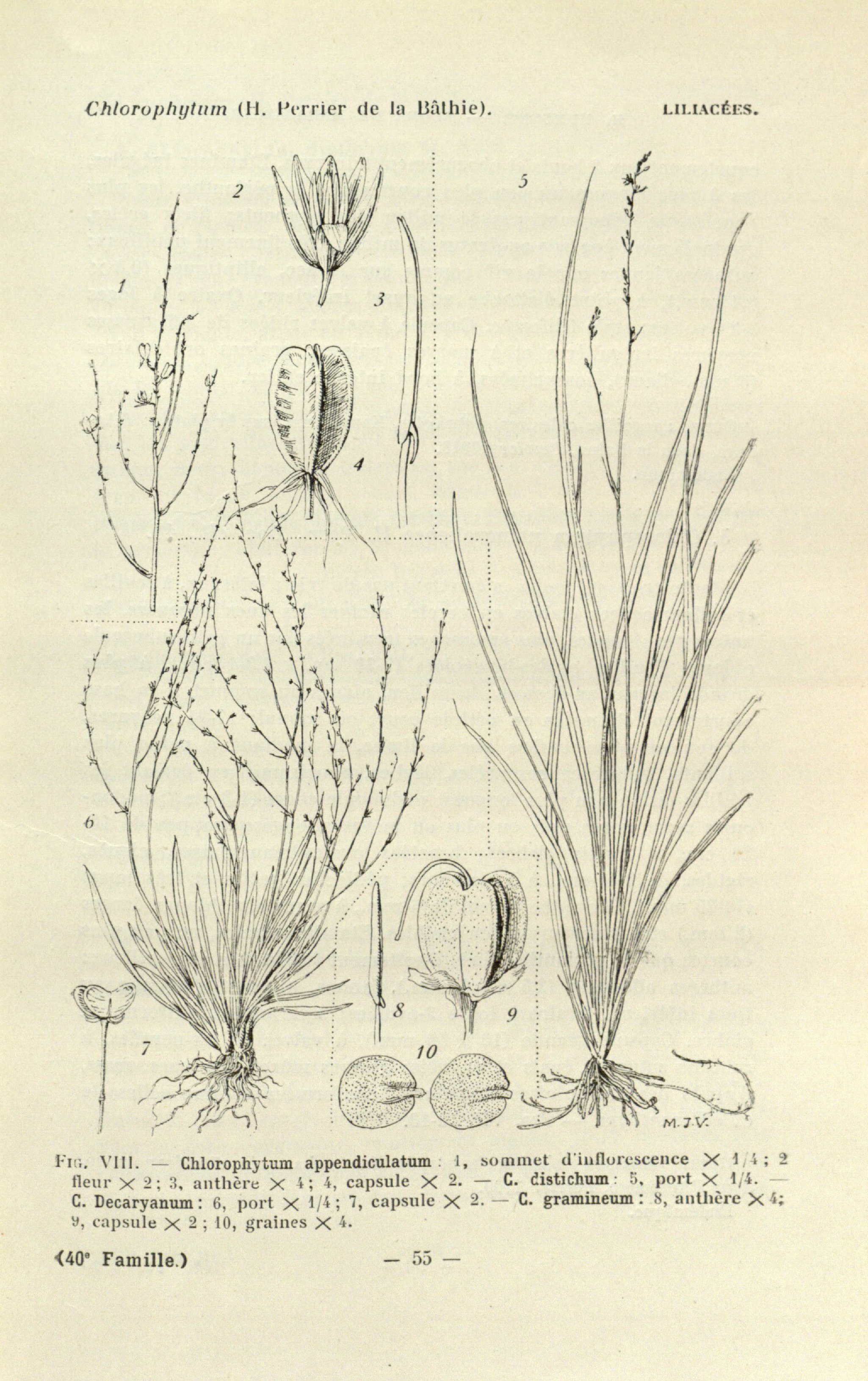 no full size  illustration available (3a)