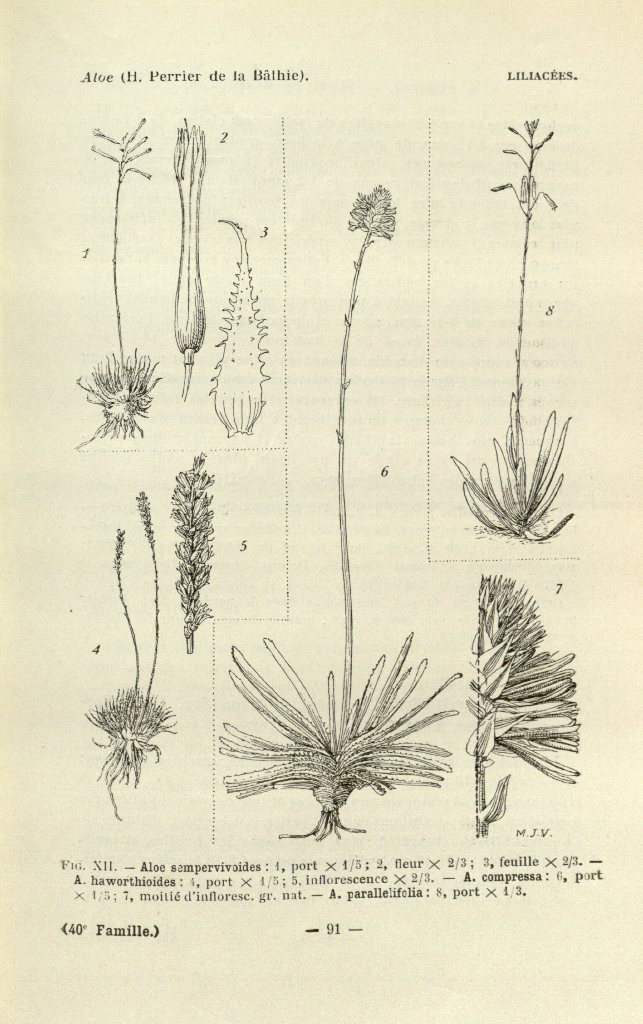 no full size  illustration available (3a)