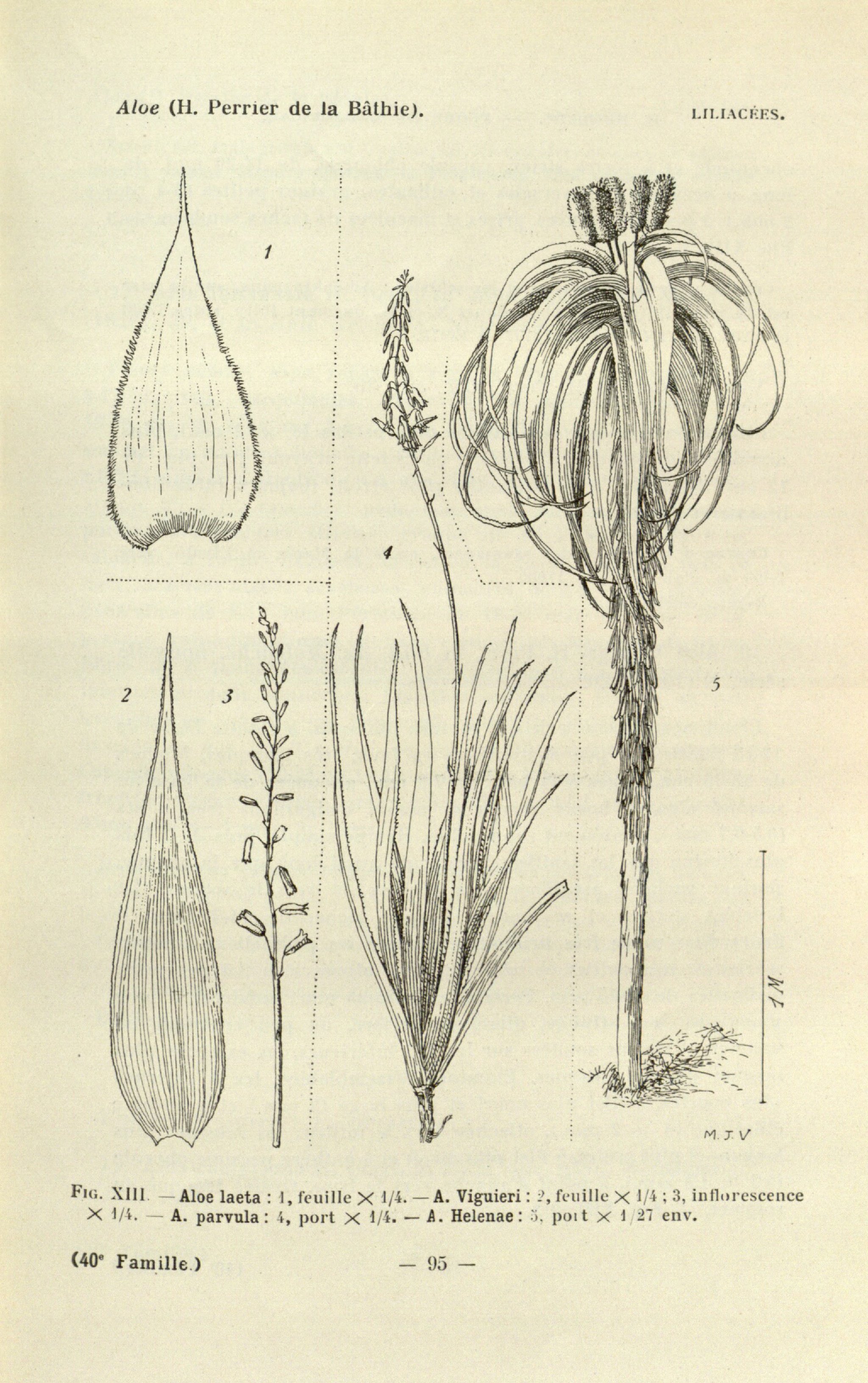 no full size  illustration available (3a)